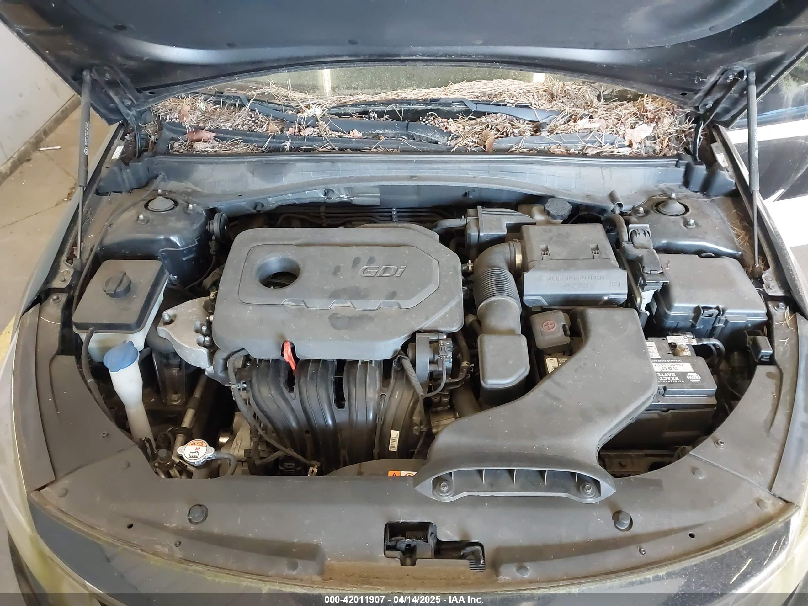 KIA OPTIMA image 10