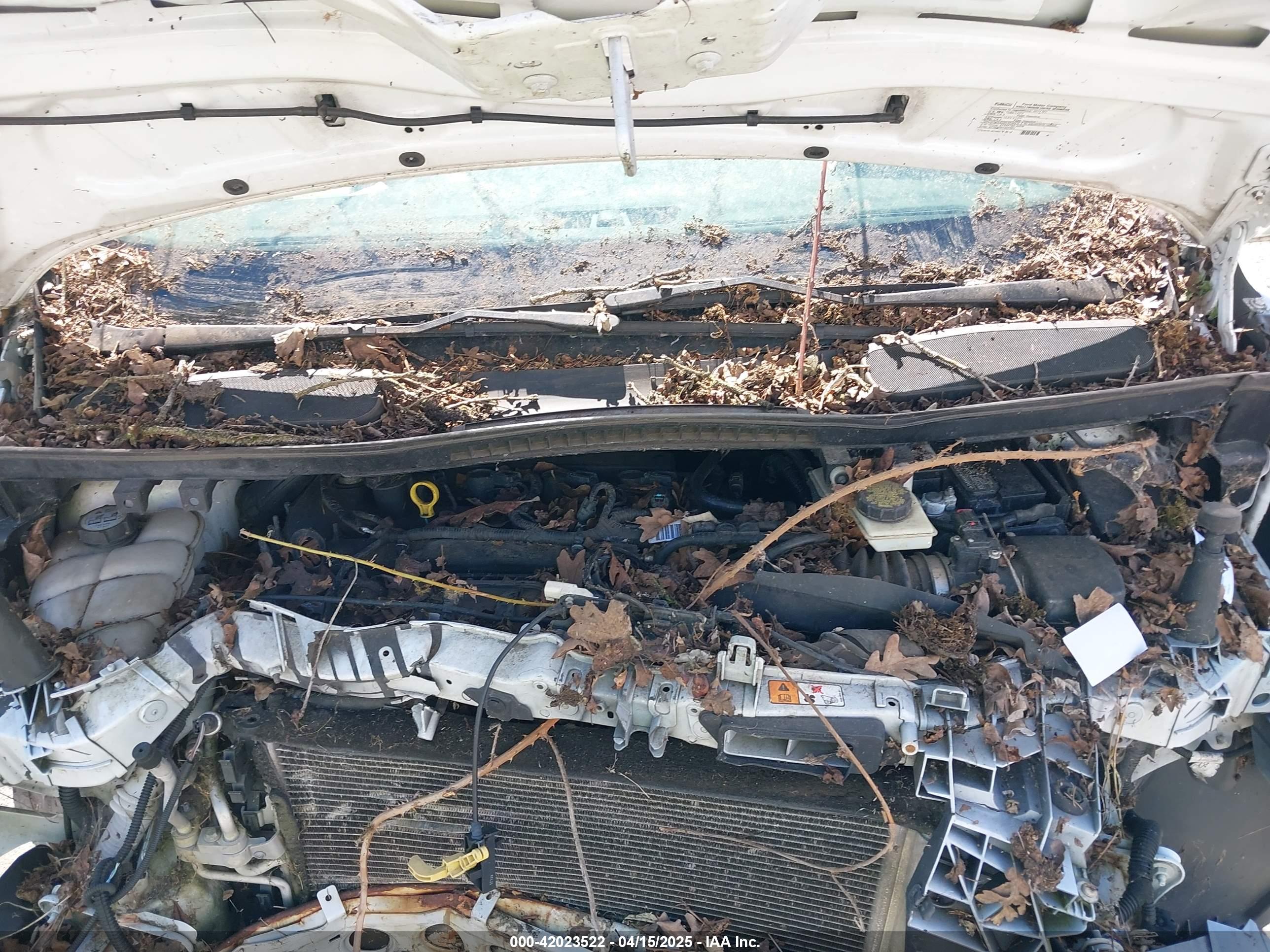 FORD TRANSIT image 10