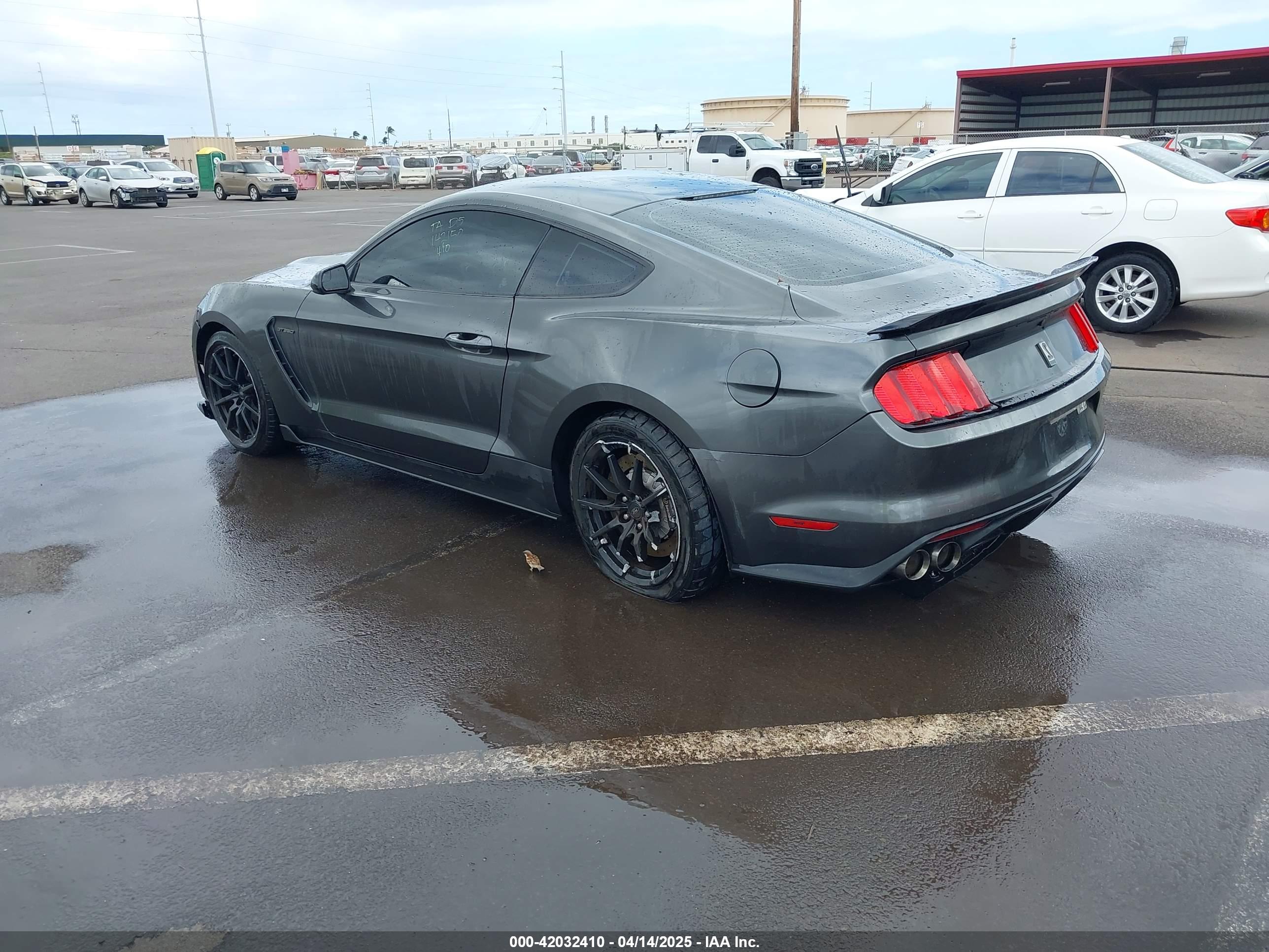 FORD SHELBY image 3