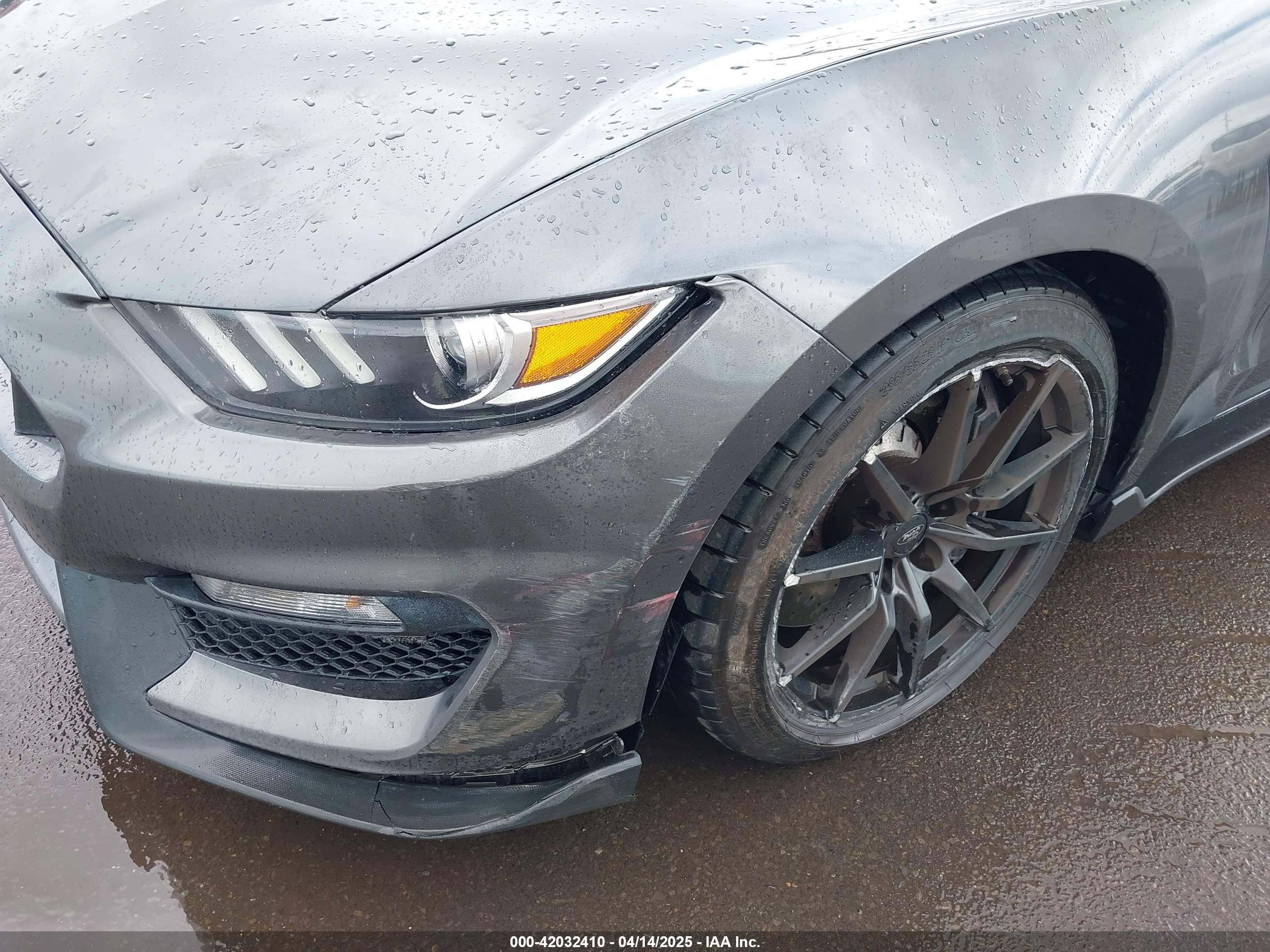 FORD SHELBY image 6