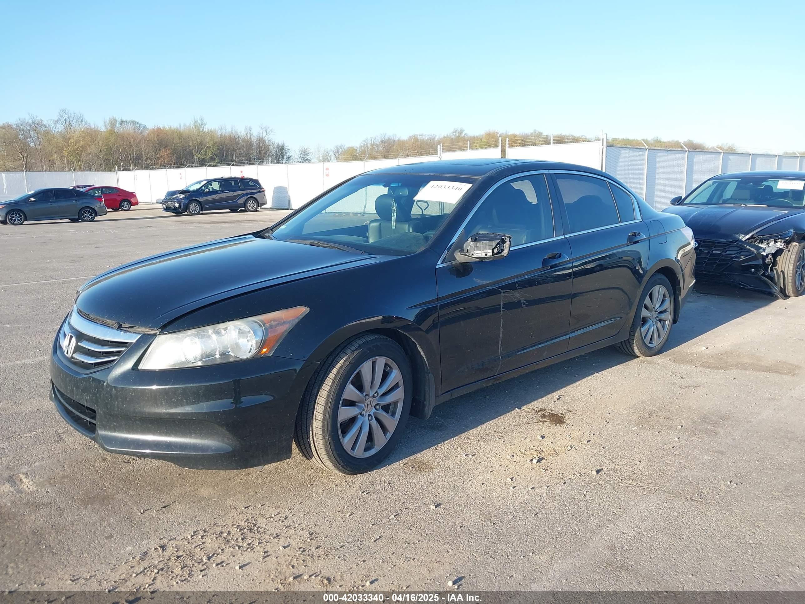 HONDA ACCORD image 2