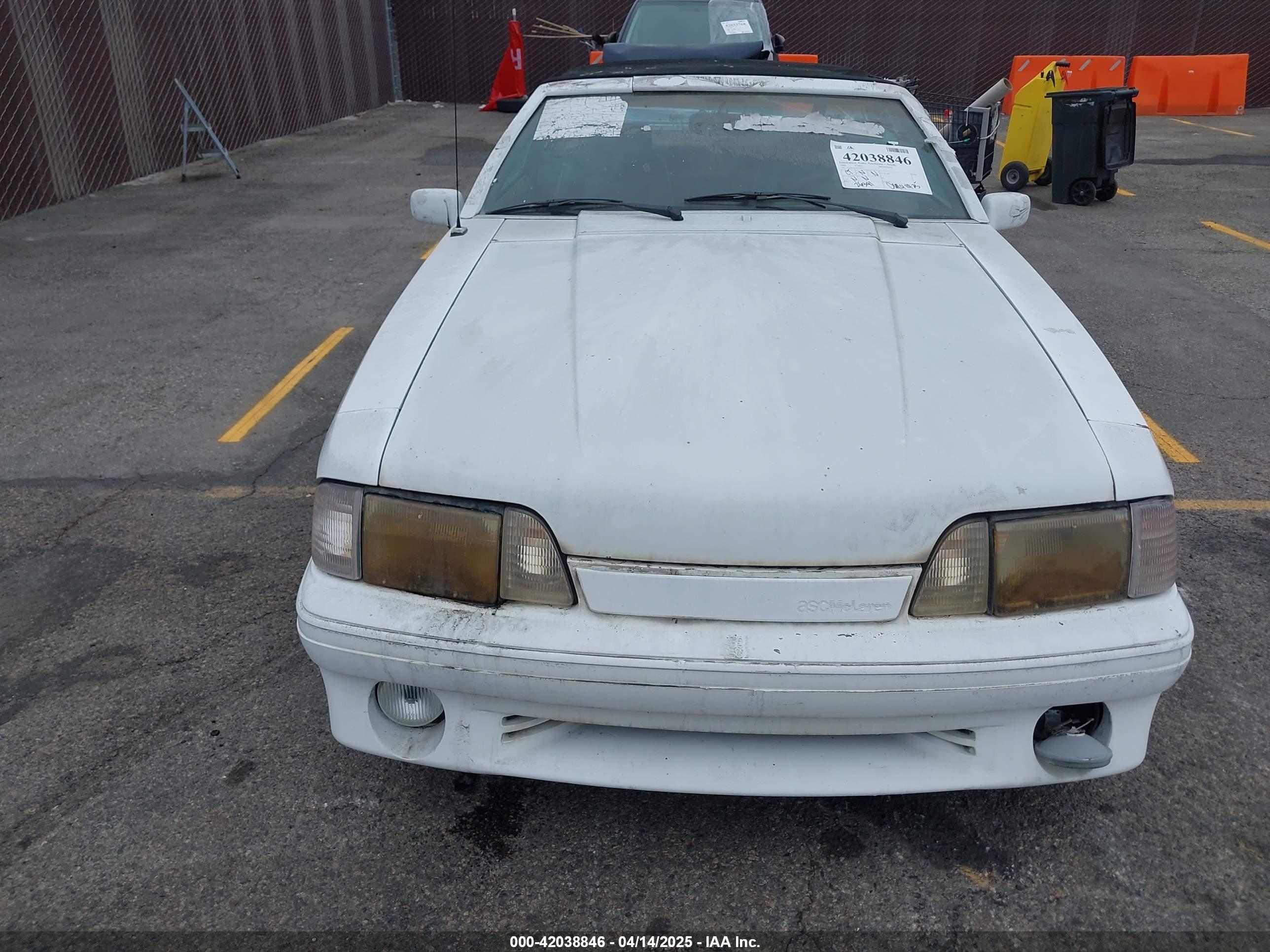 FORD MUSTANG image 6