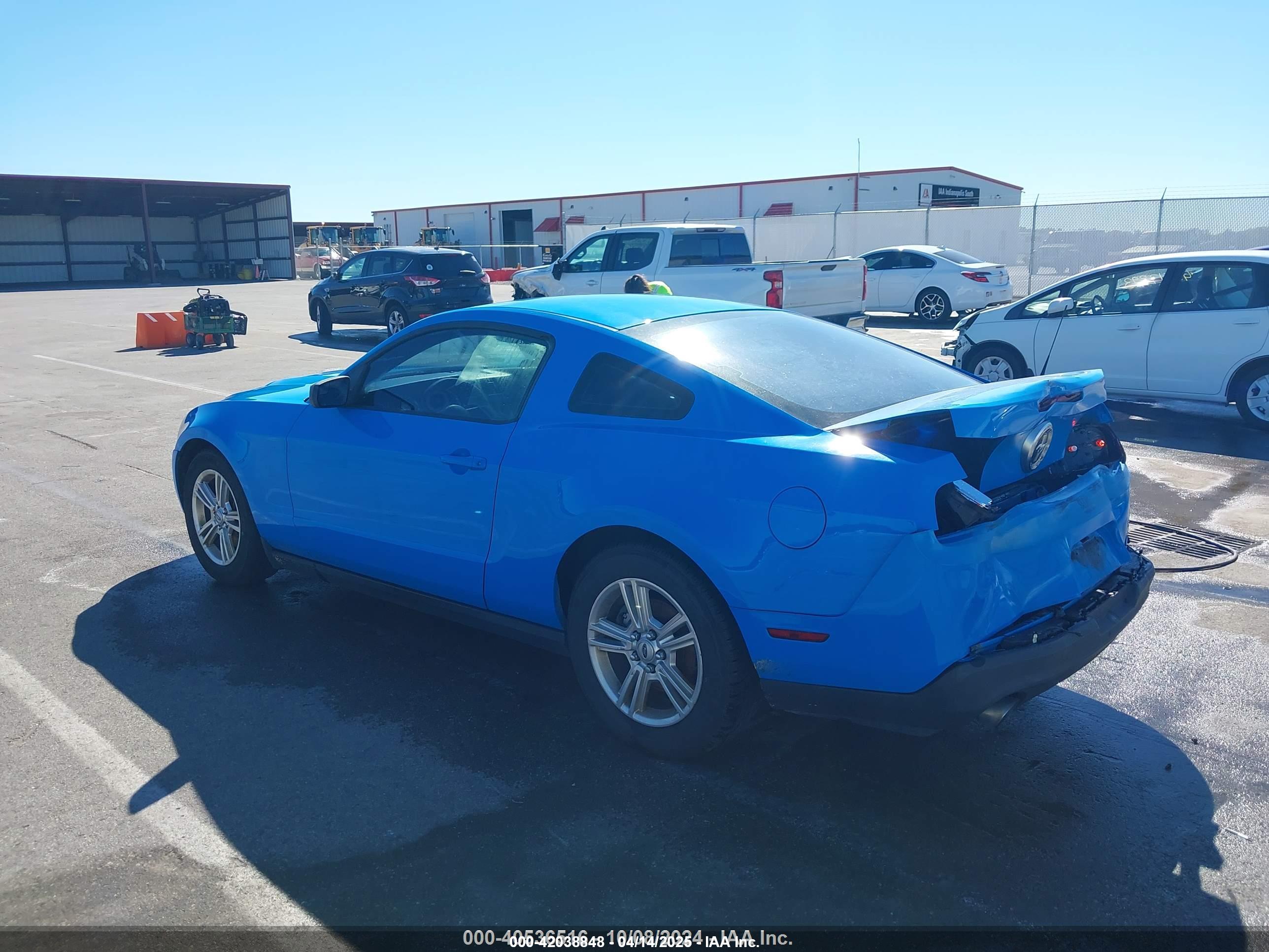 FORD MUSTANG image 3