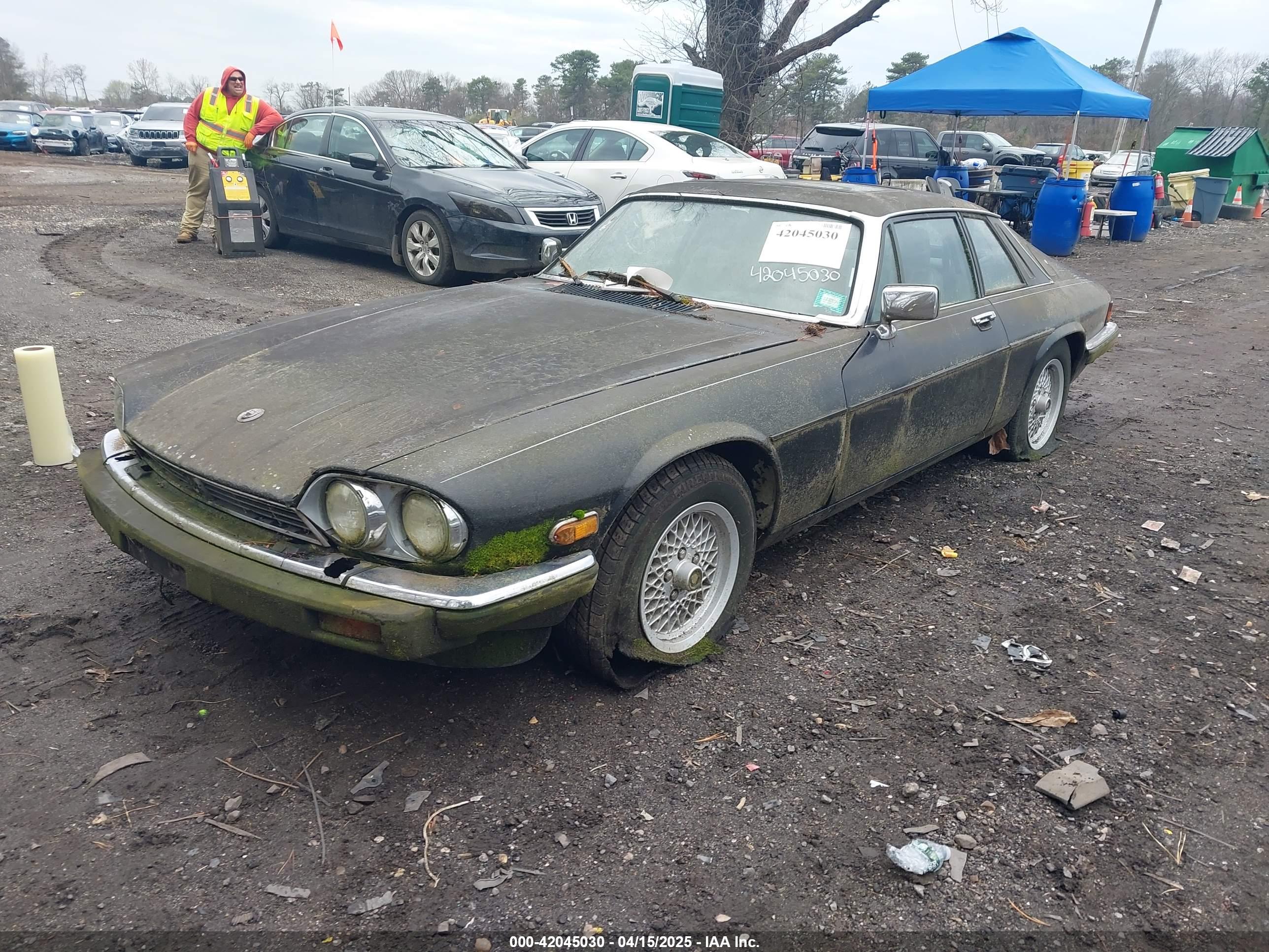 JAGUAR XJS image 2