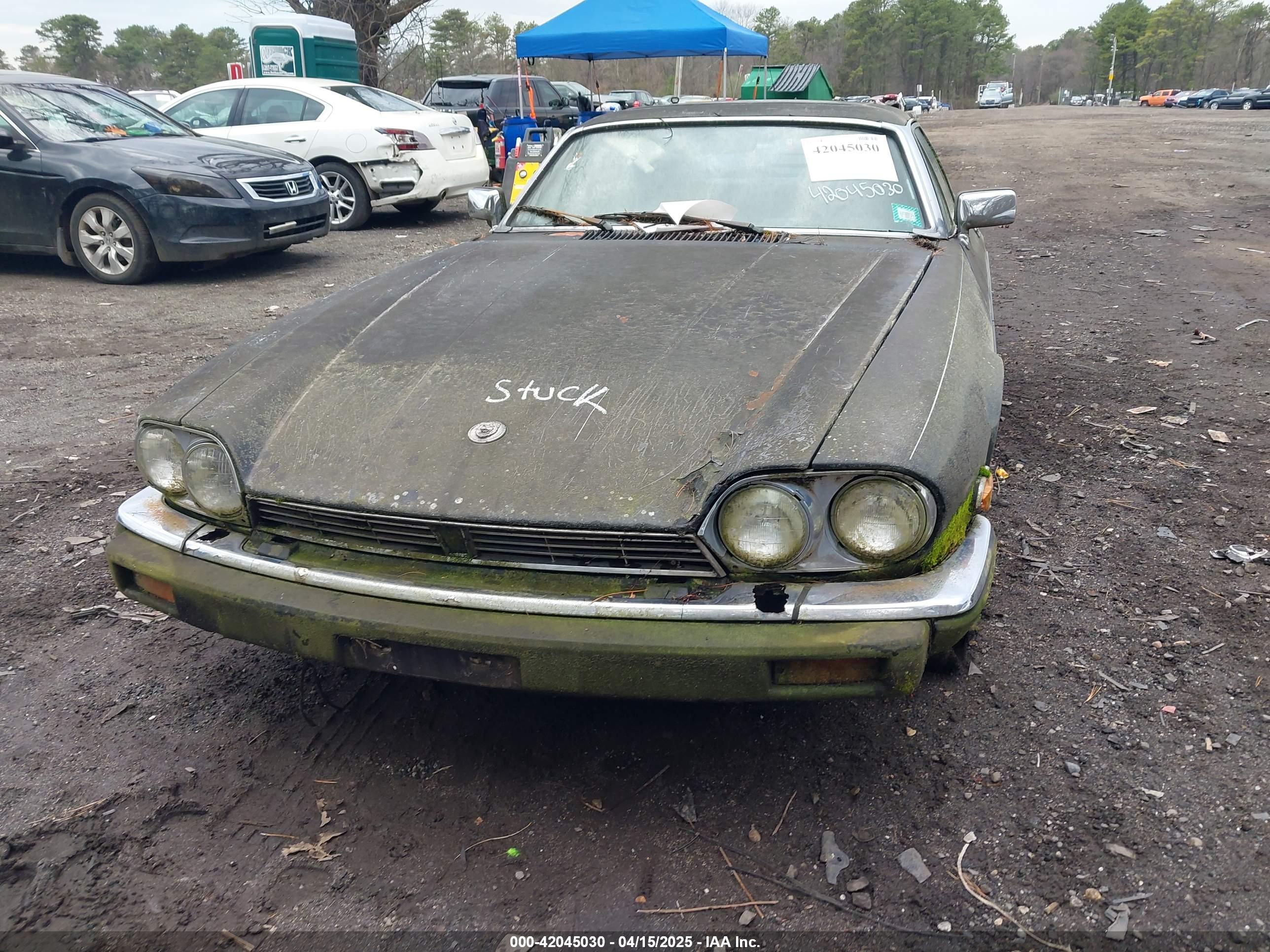 JAGUAR XJS image 6
