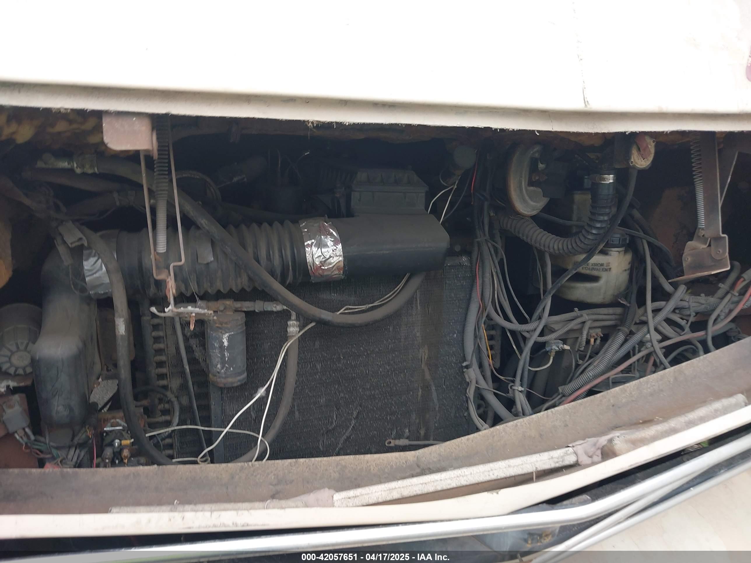 OPNRD MOTOR image 10