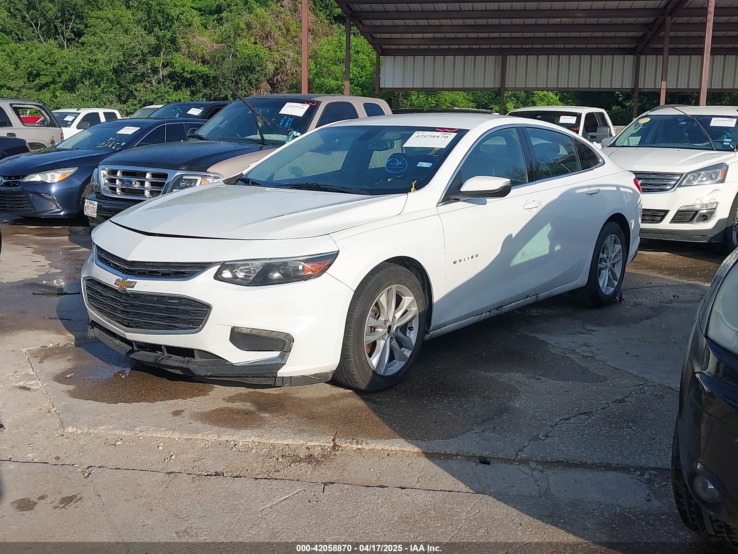 CHEVROLET MALIBU image 2