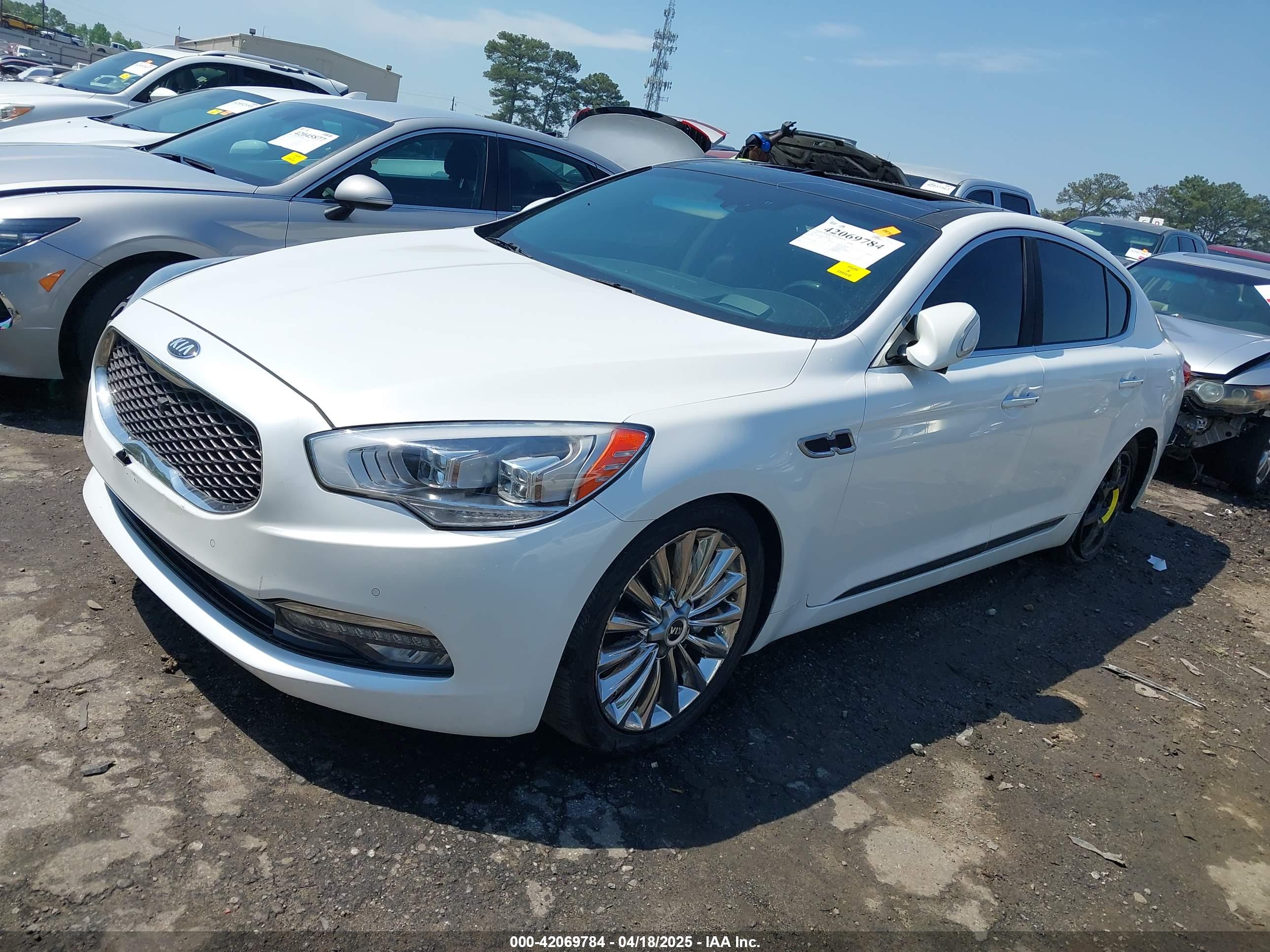 KIA K900 image 2