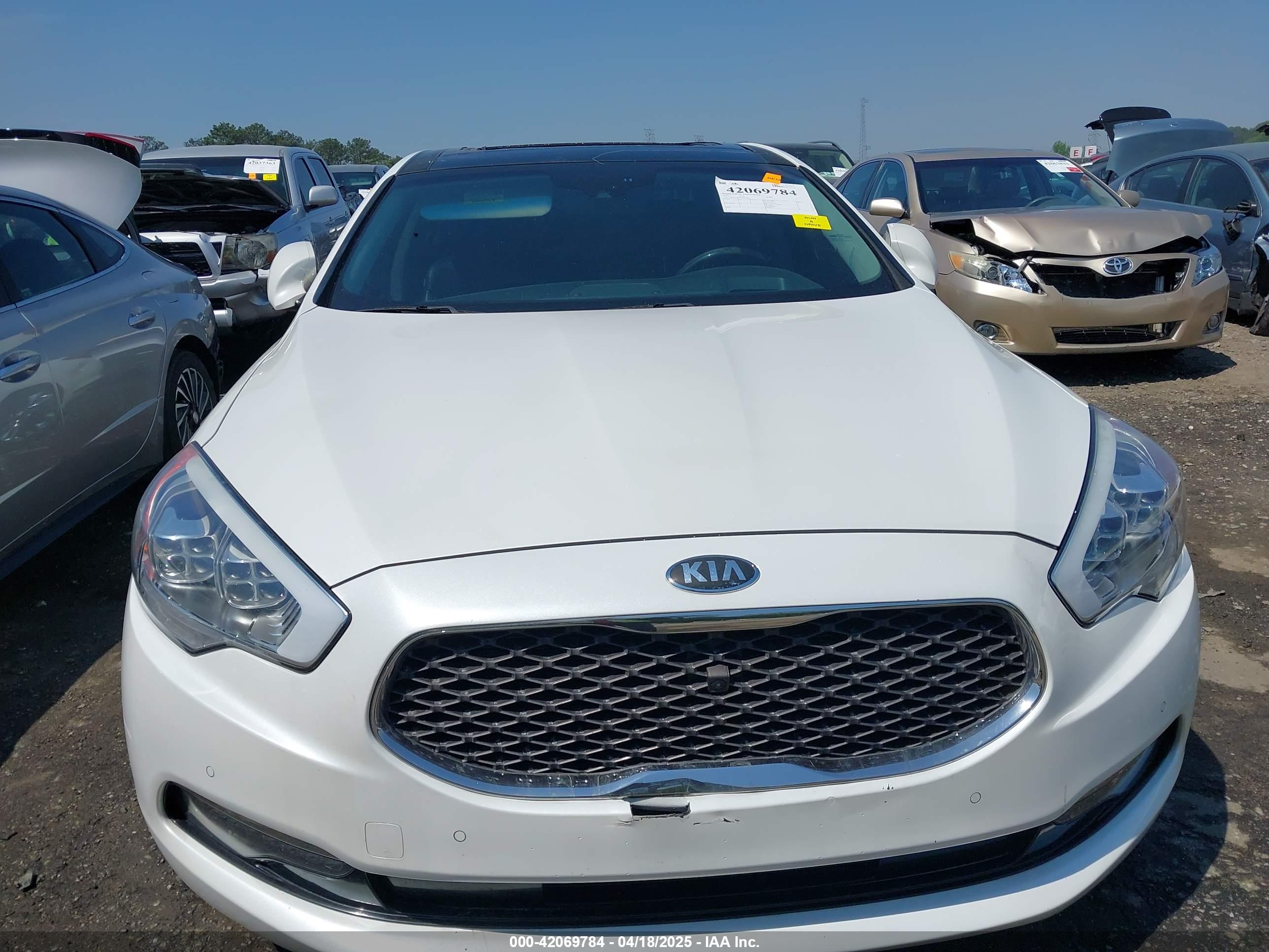 KIA K900 image 6
