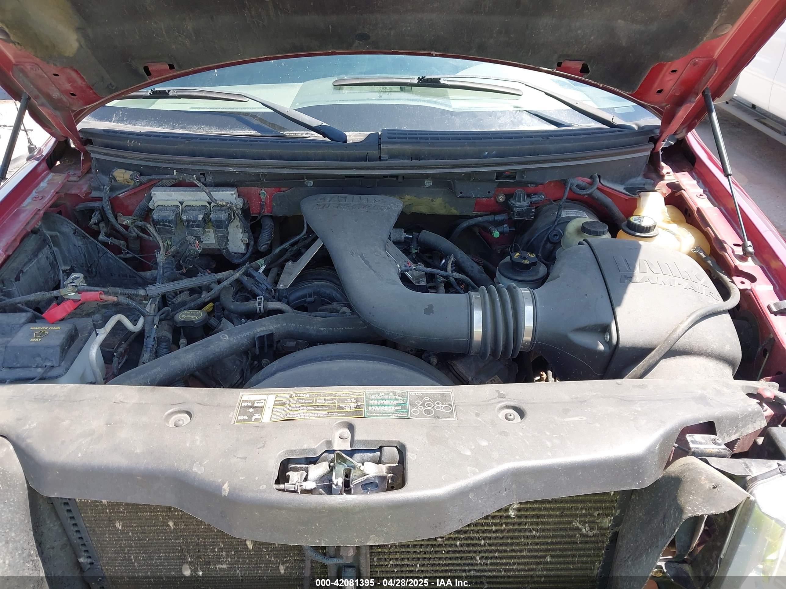 FORD F-150 image 10