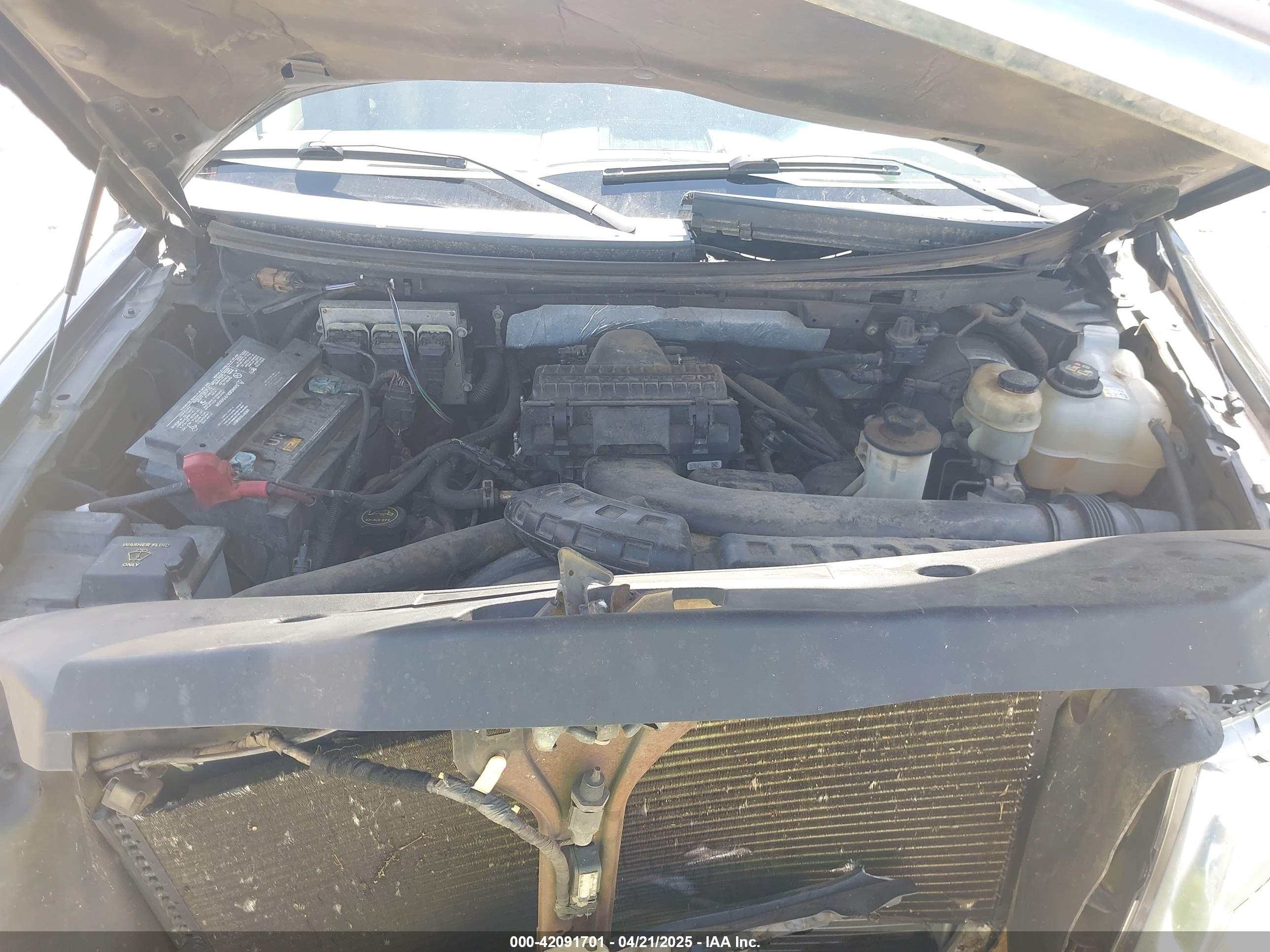 FORD F-150 image 10