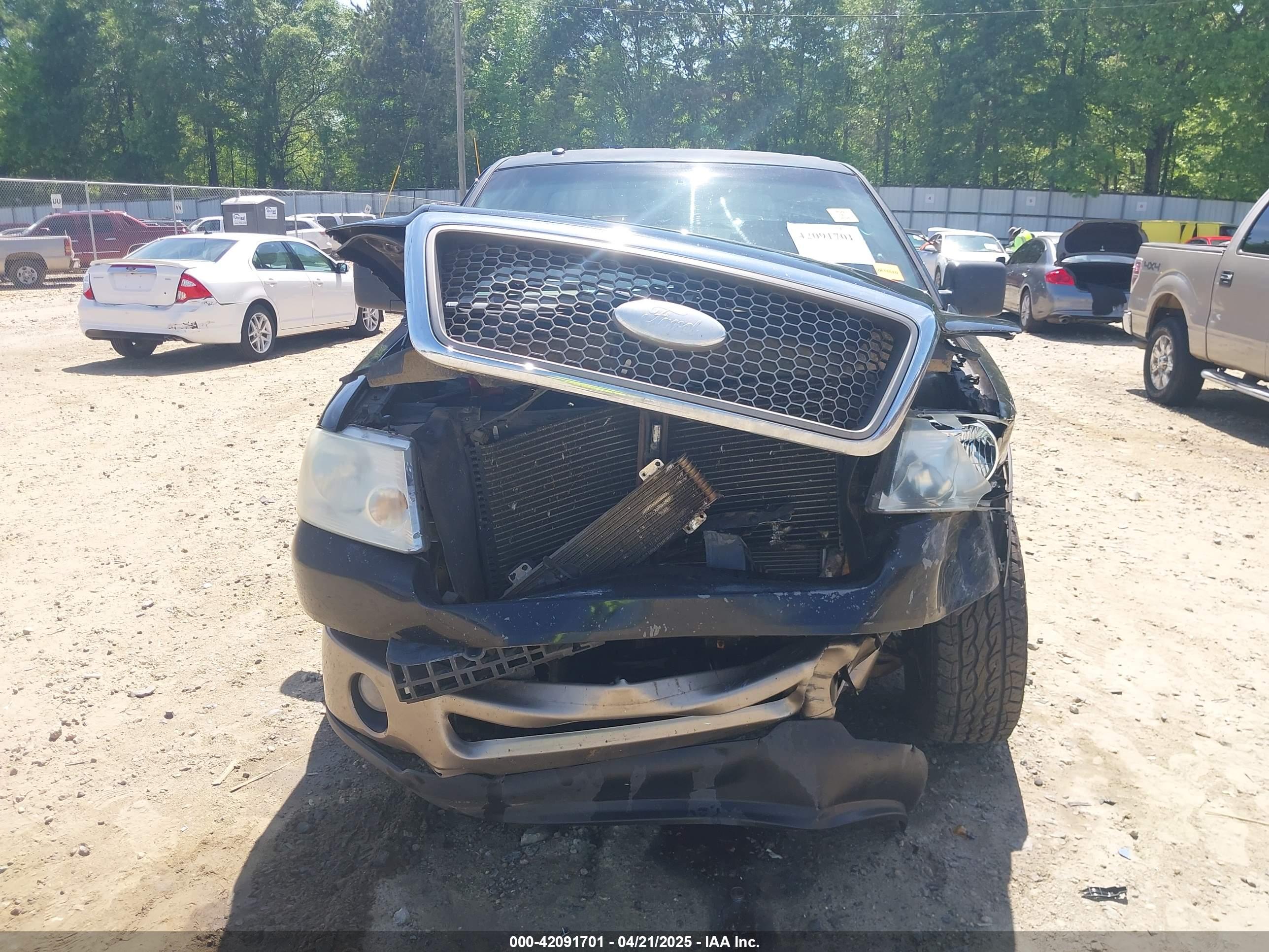 FORD F-150 image 6