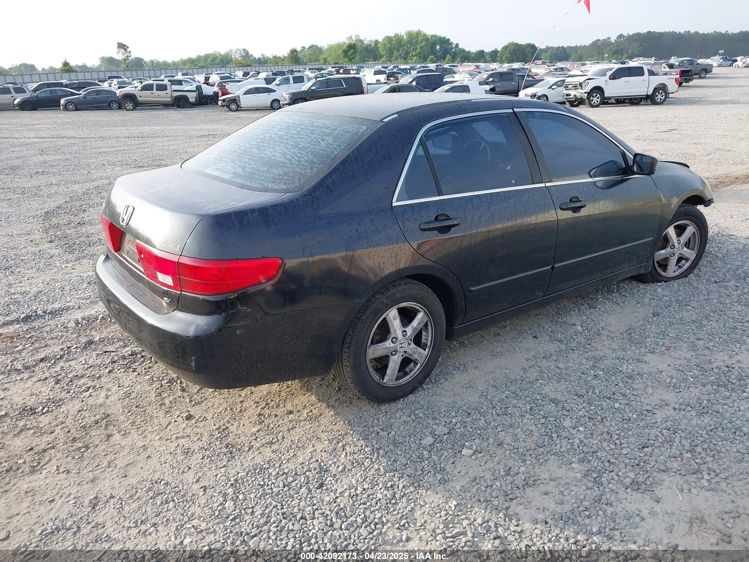 HONDA ACCORD image 4