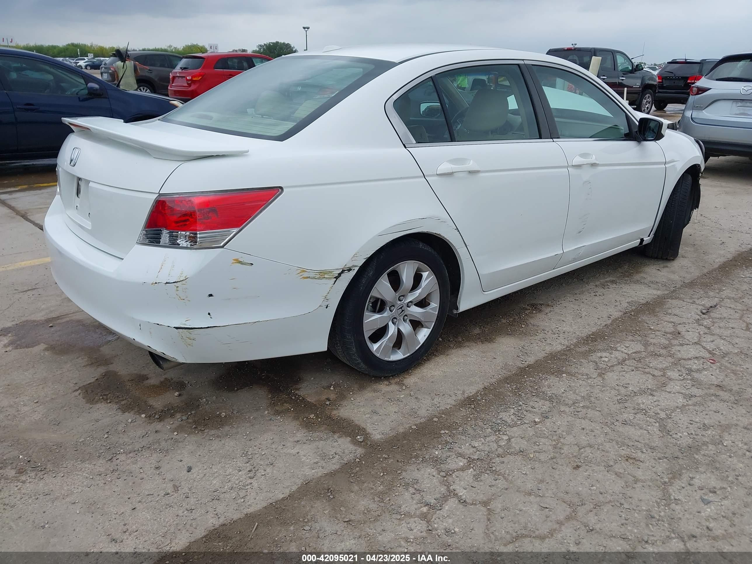 HONDA ACCORD image 4