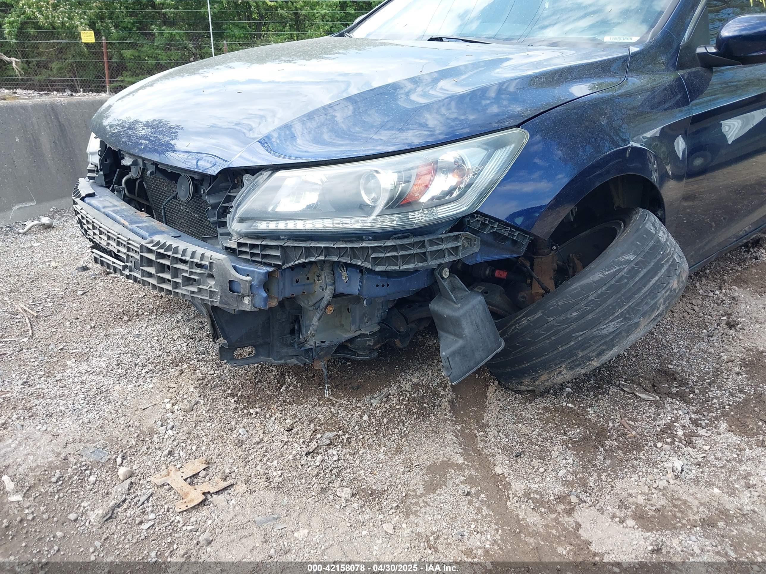 HONDA ACCORD image 6