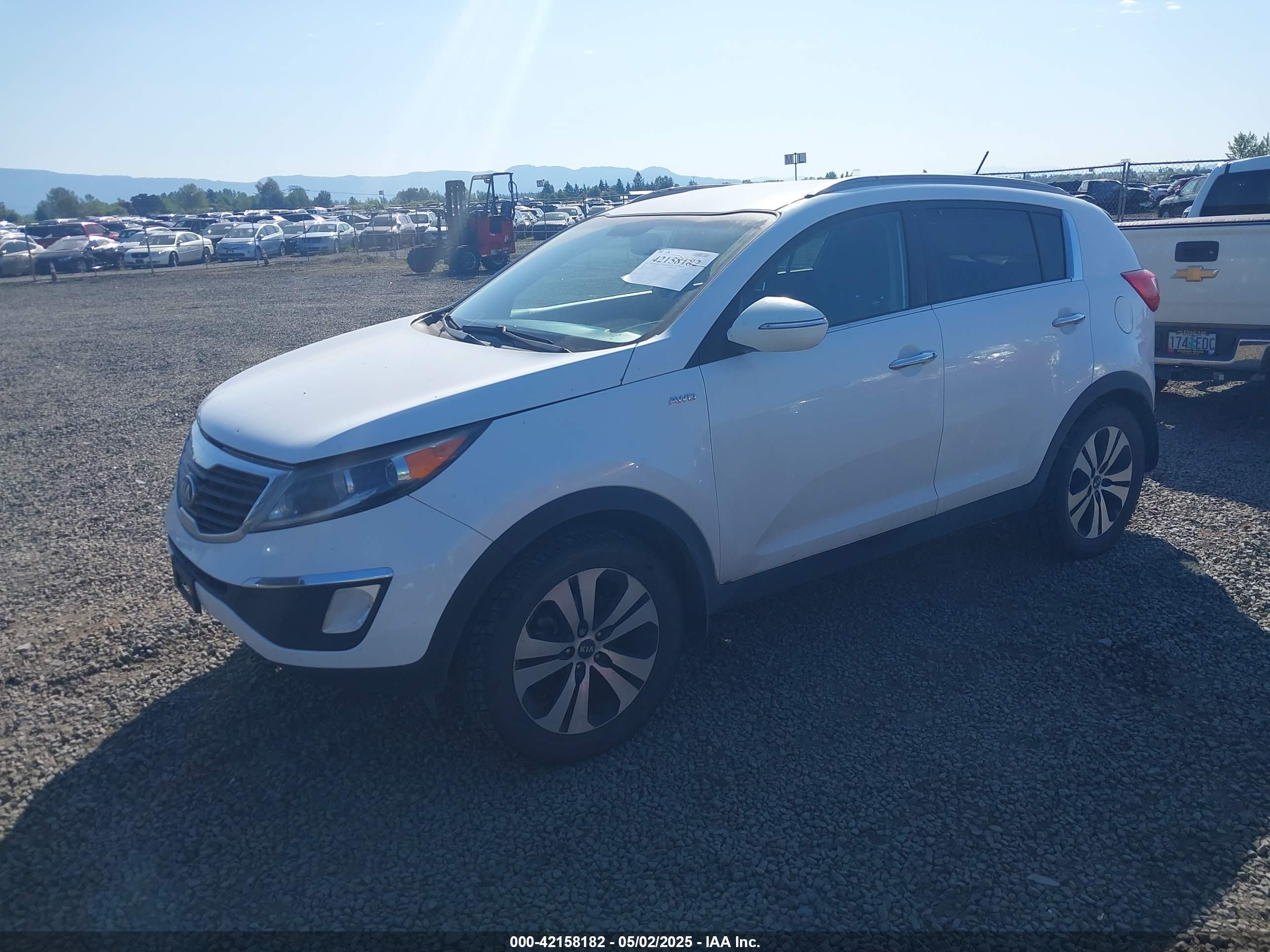 KIA SPORTAGE image 2