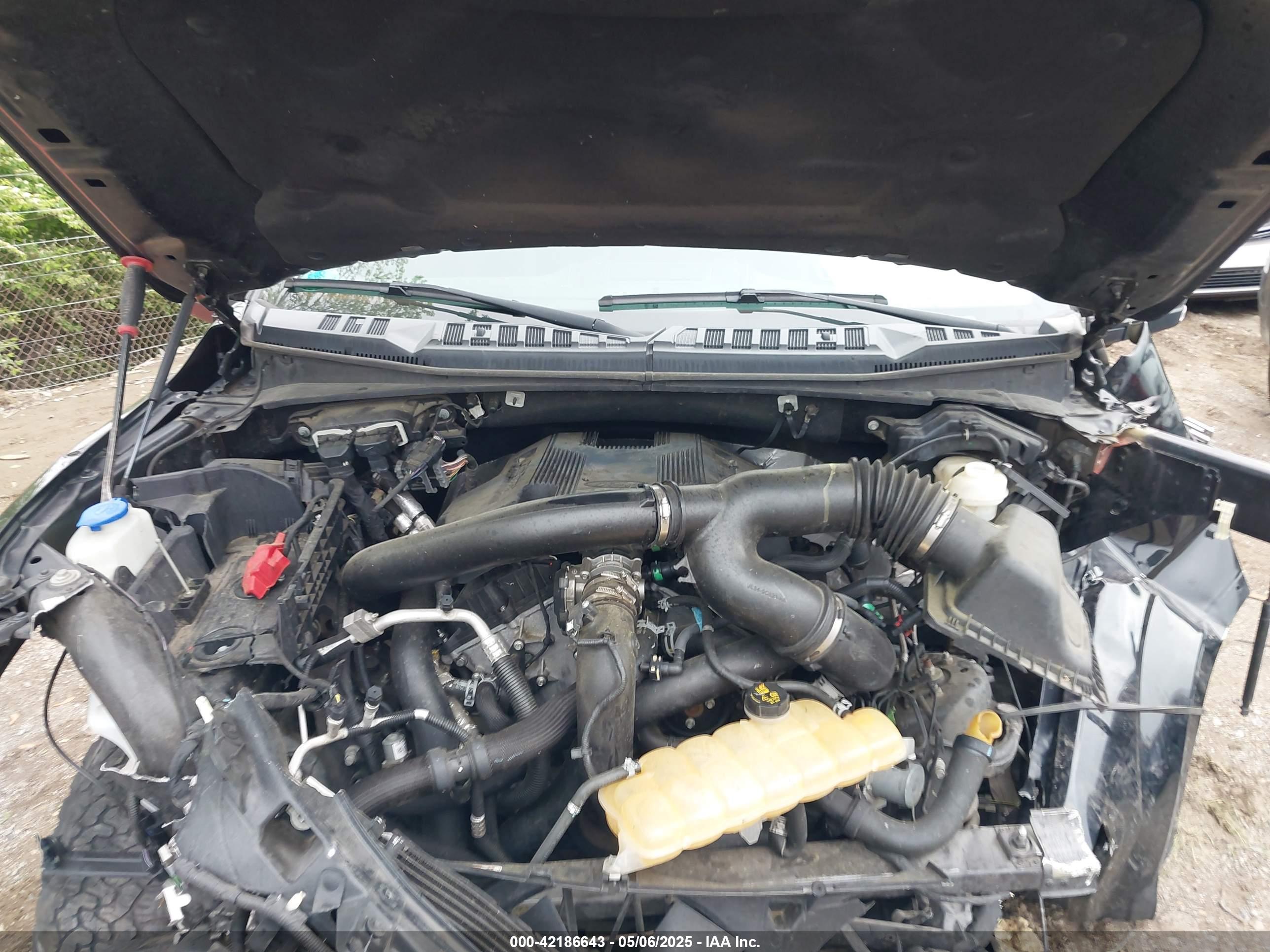 FORD F-150 image 10