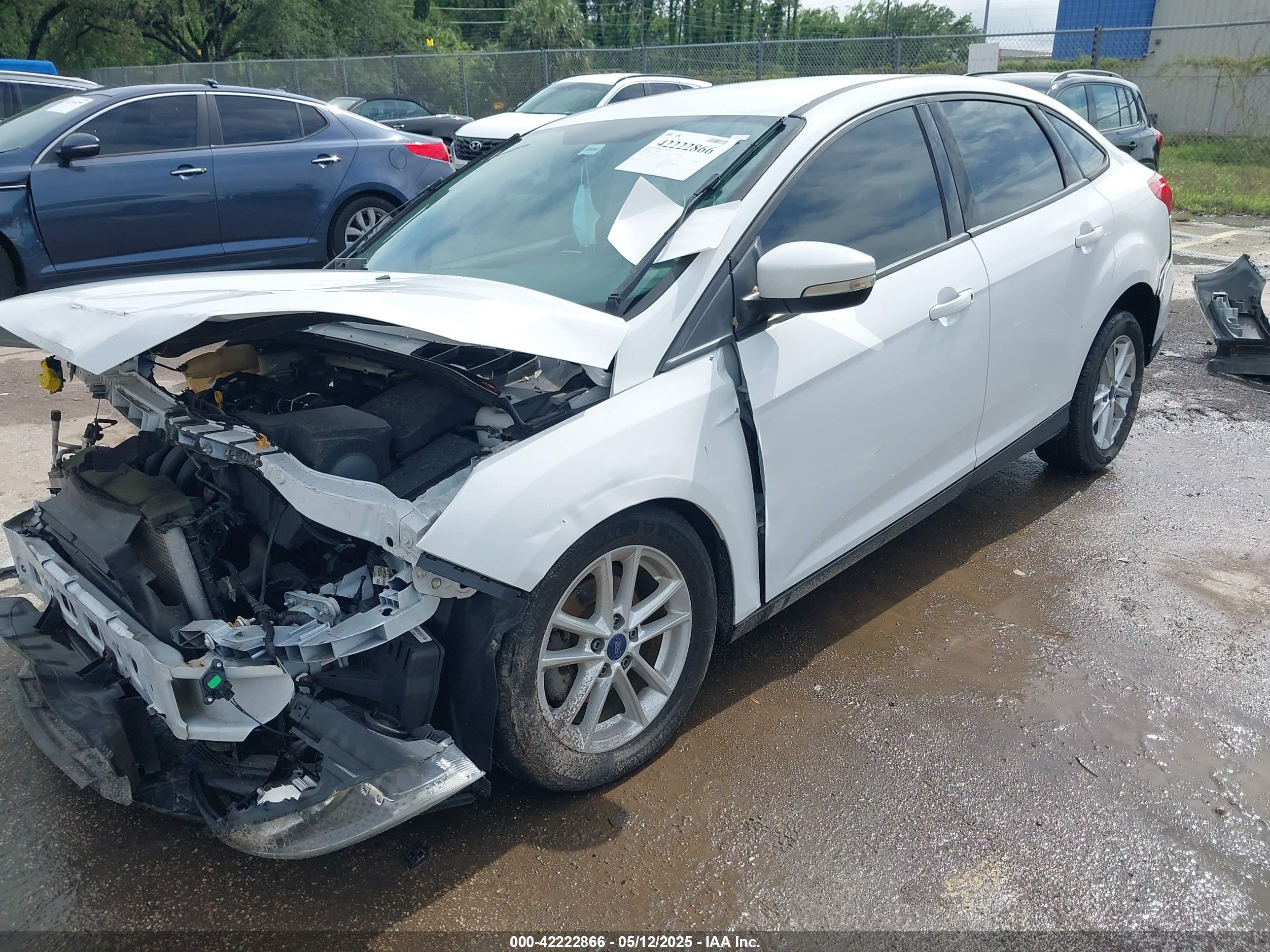 FORD FOCUS image 2
