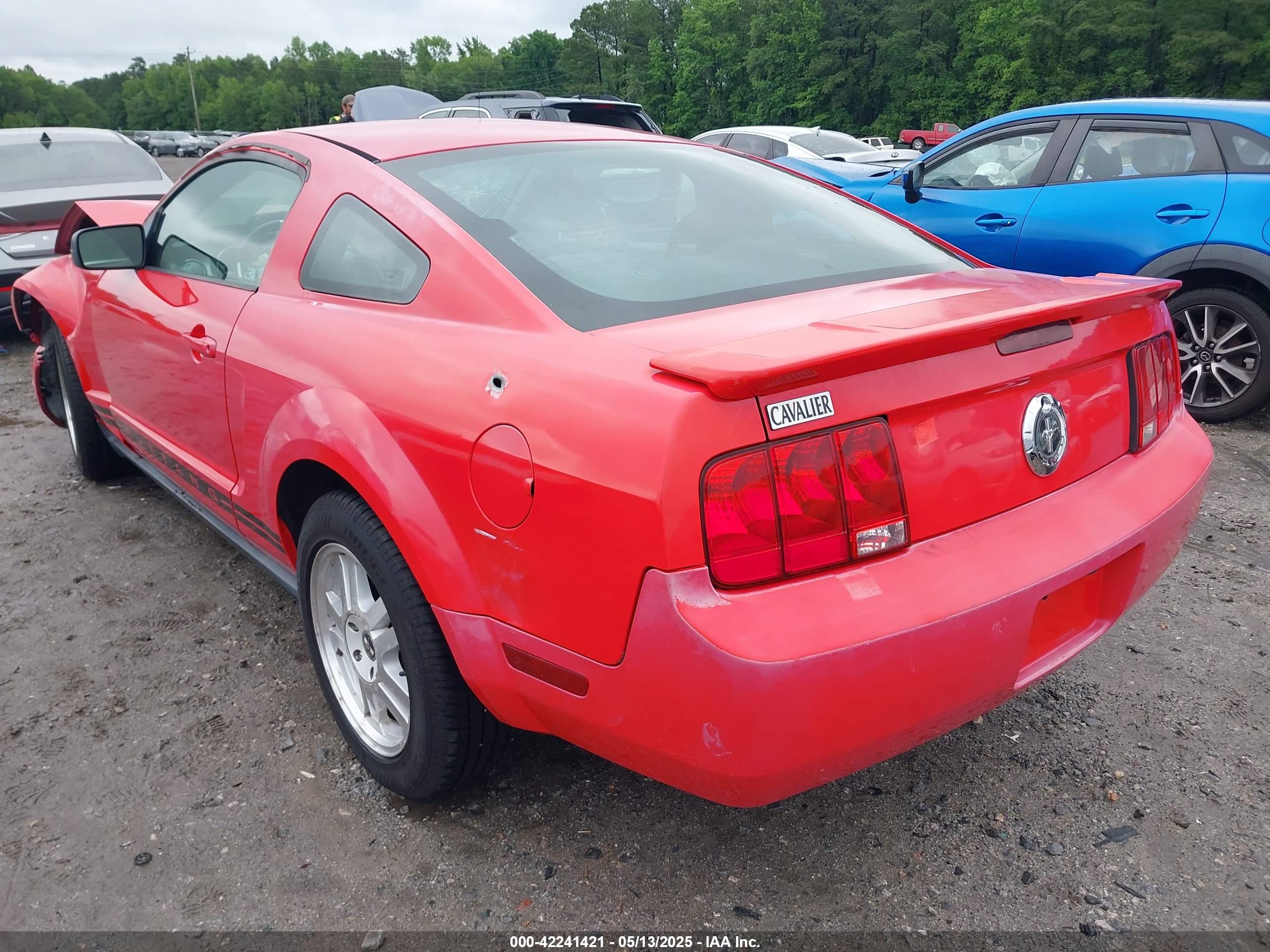FORD MUSTANG image 3