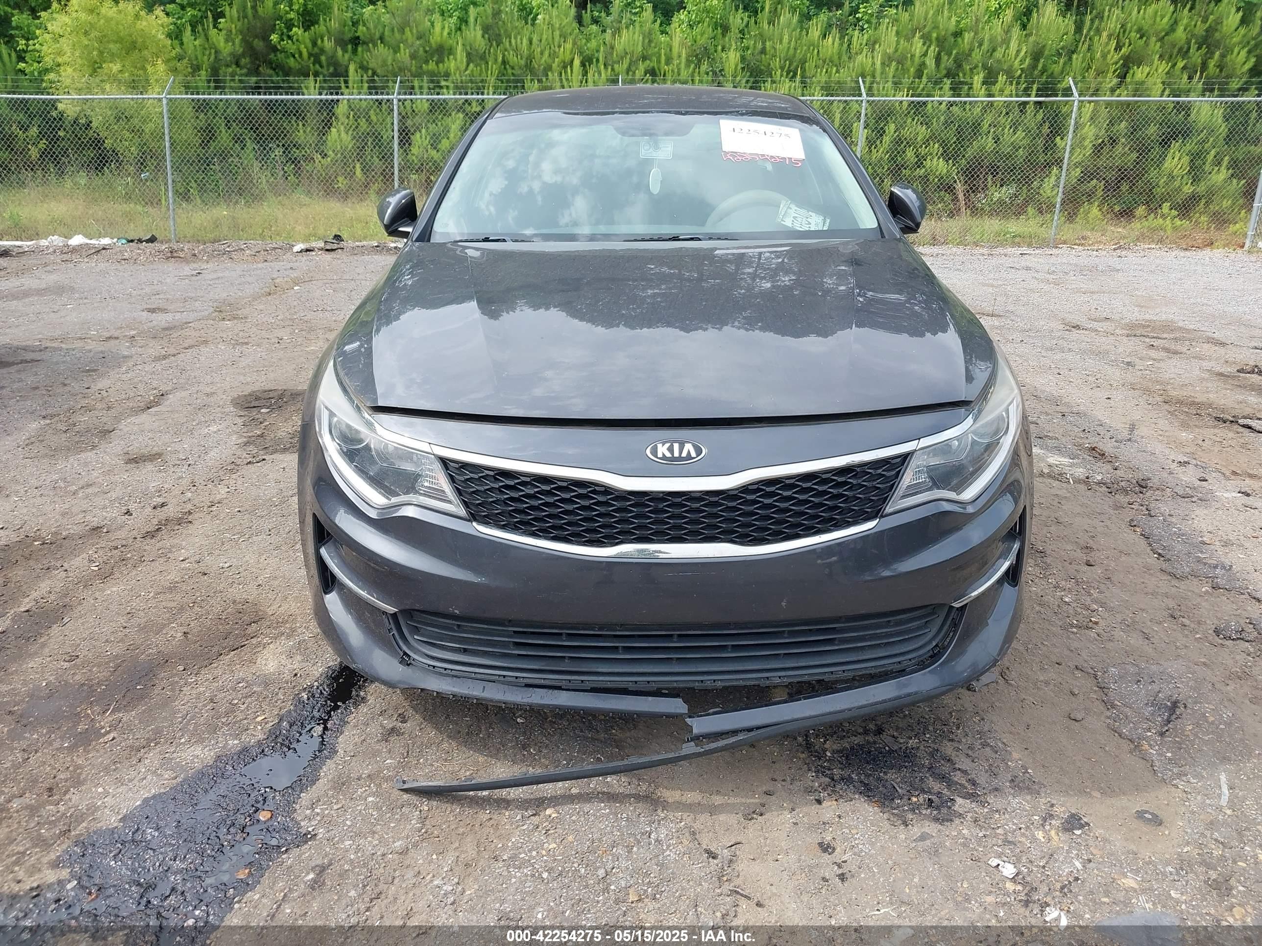 KIA OPTIMA image 6