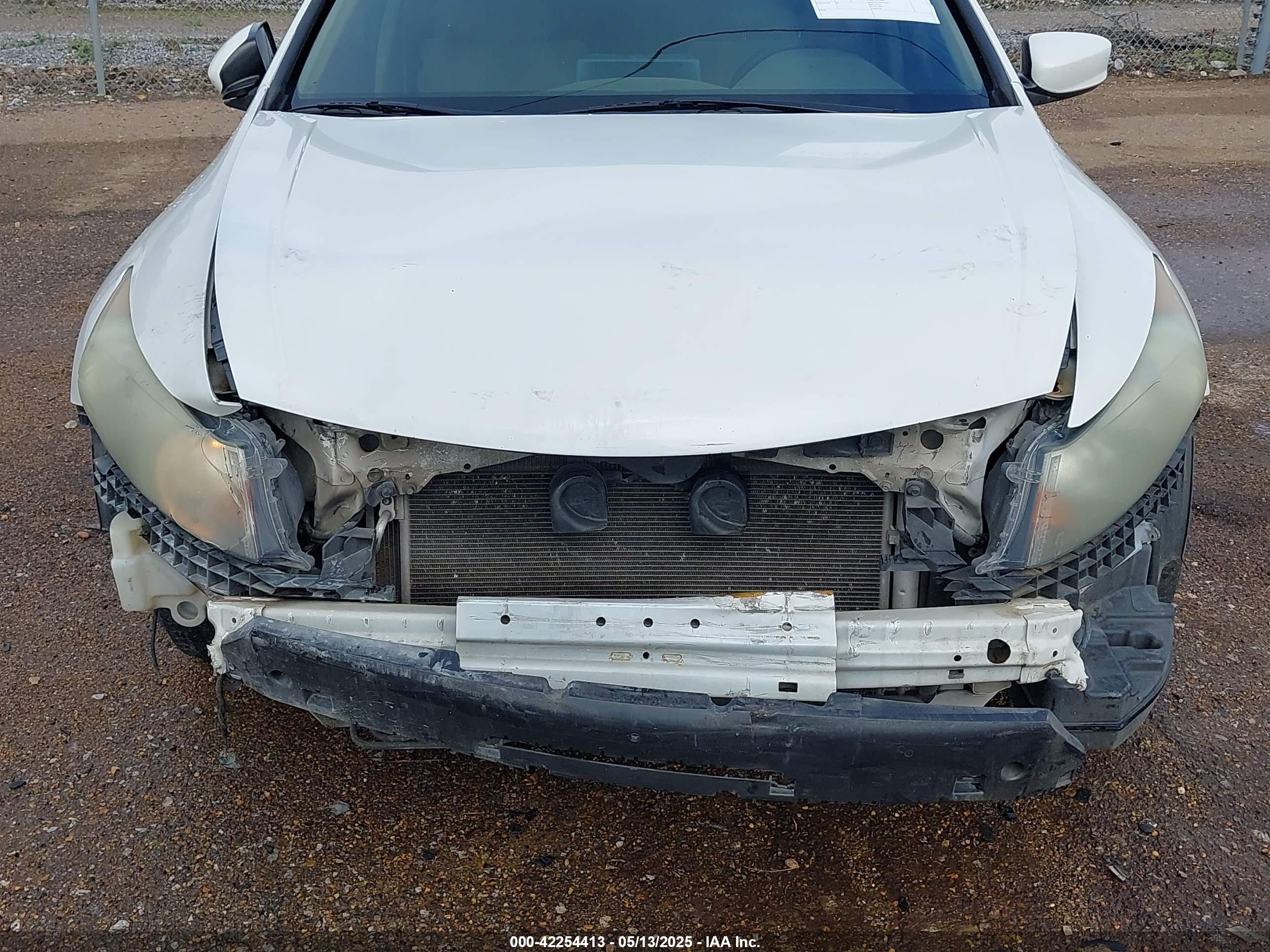 HONDA ACCORD image 6