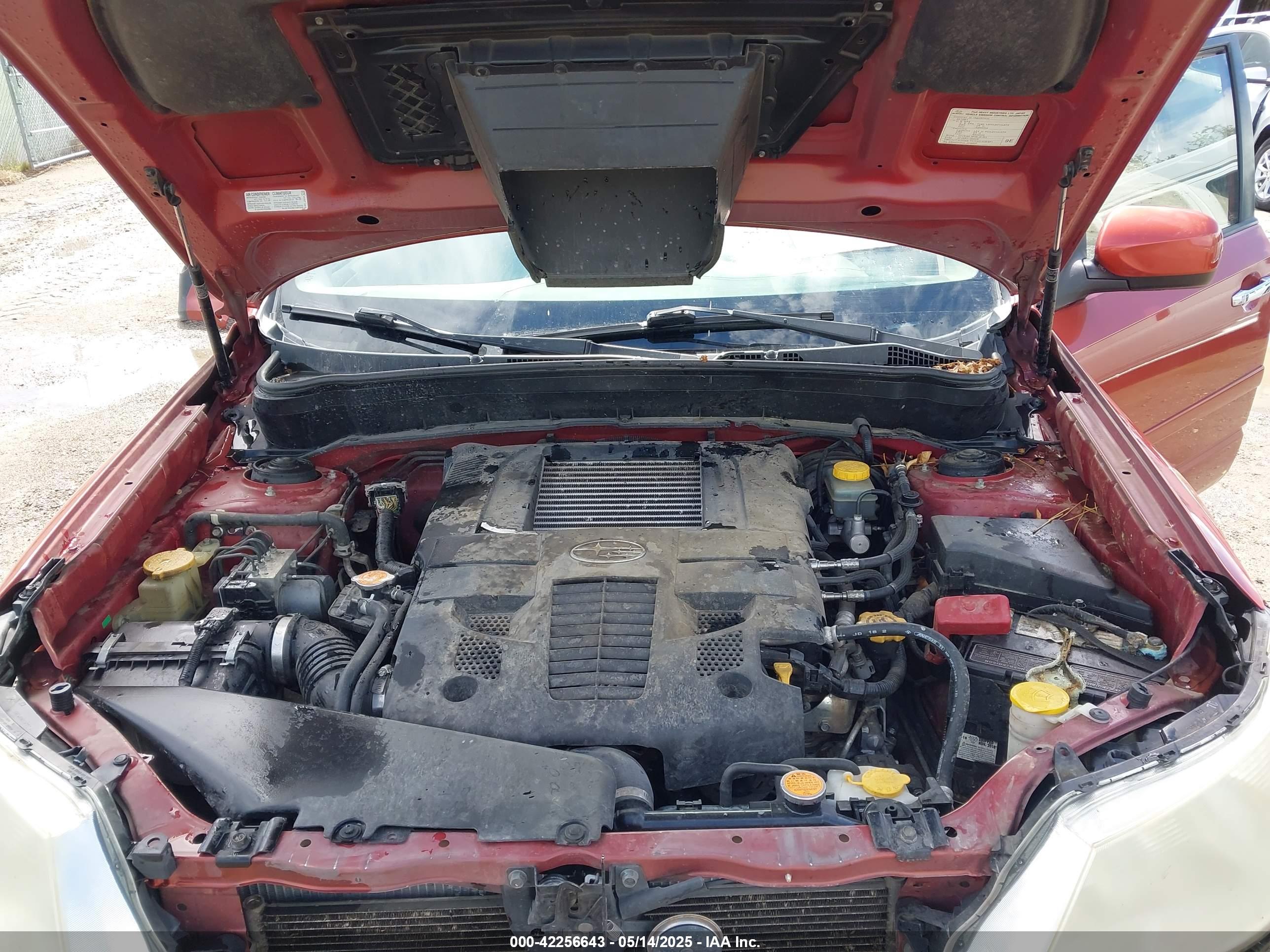 SUBARU FORESTER image 10