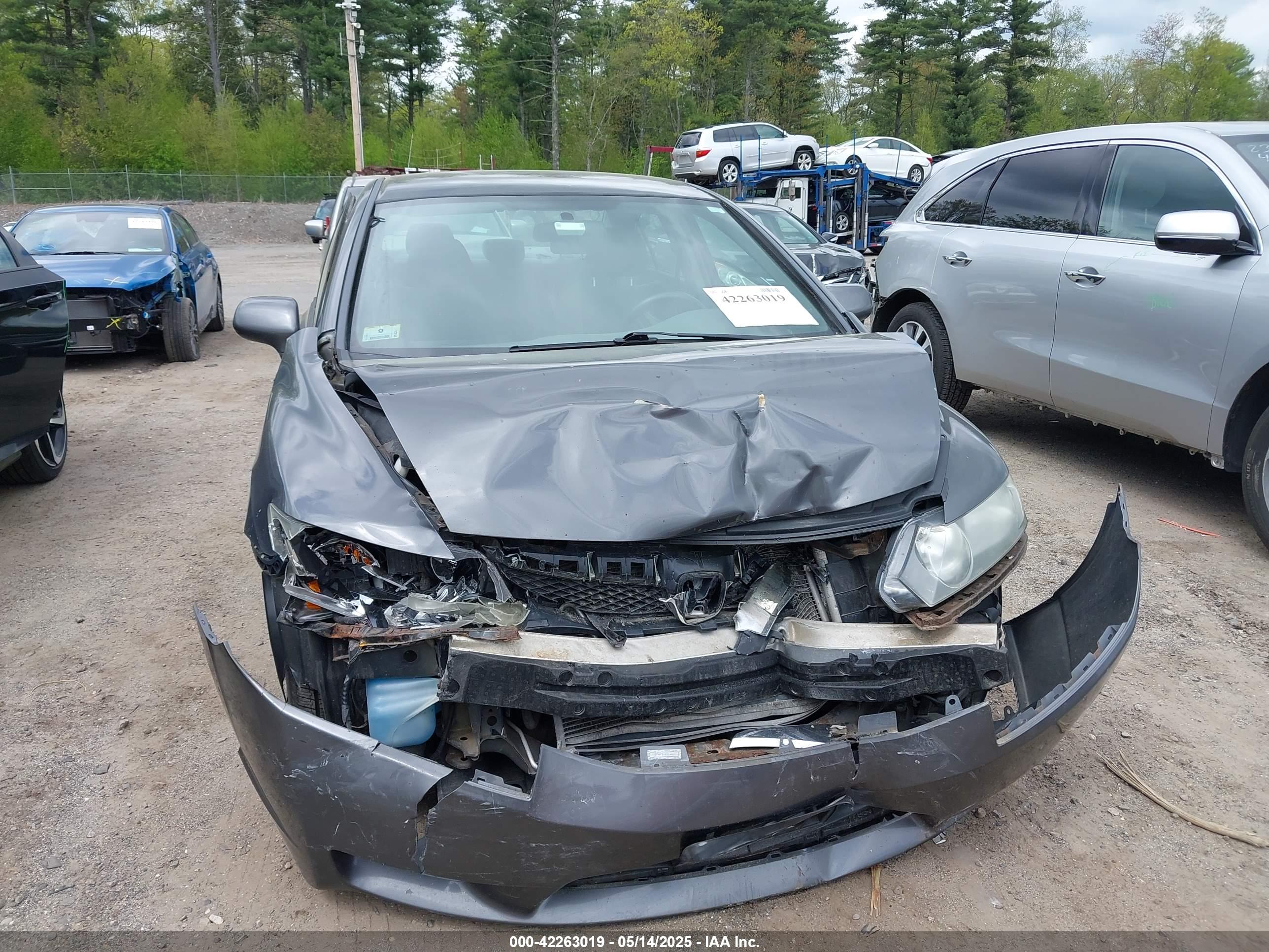 HONDA CIVIC image 6