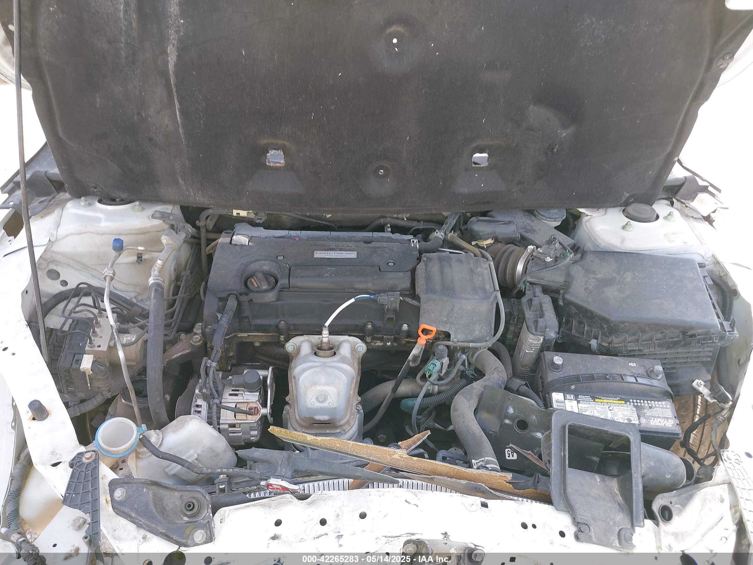 HONDA ACCORD image 10