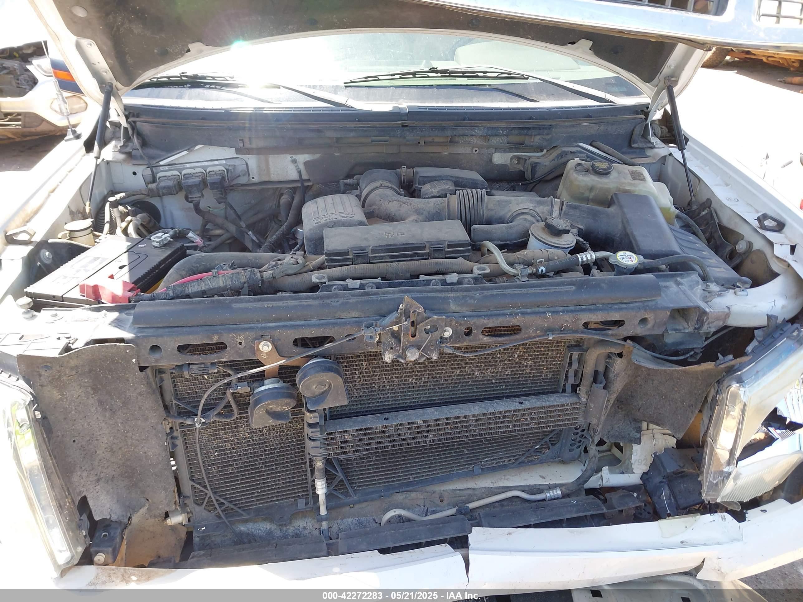 FORD F-150 image 10