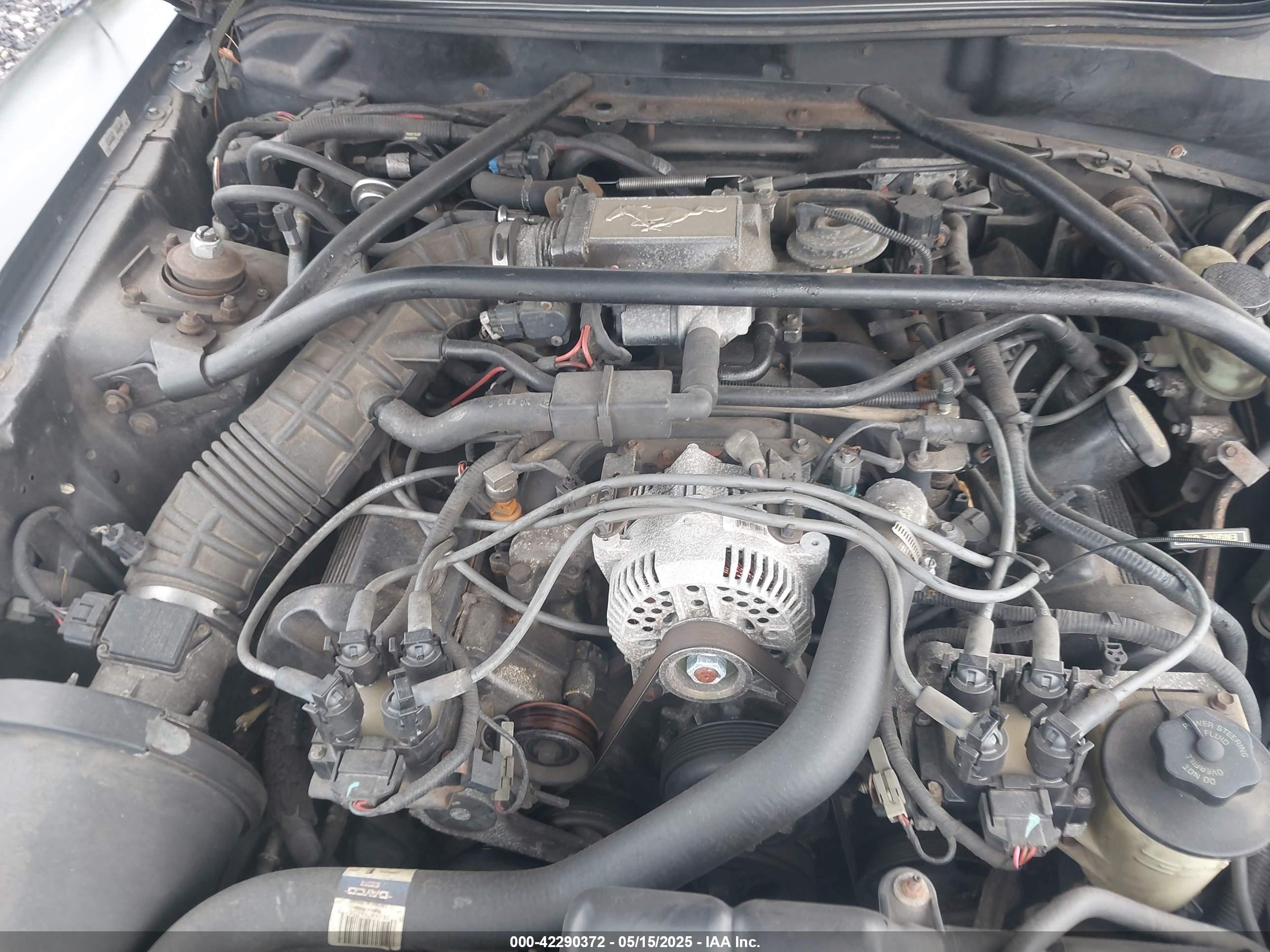 FORD MUSTANG image 10