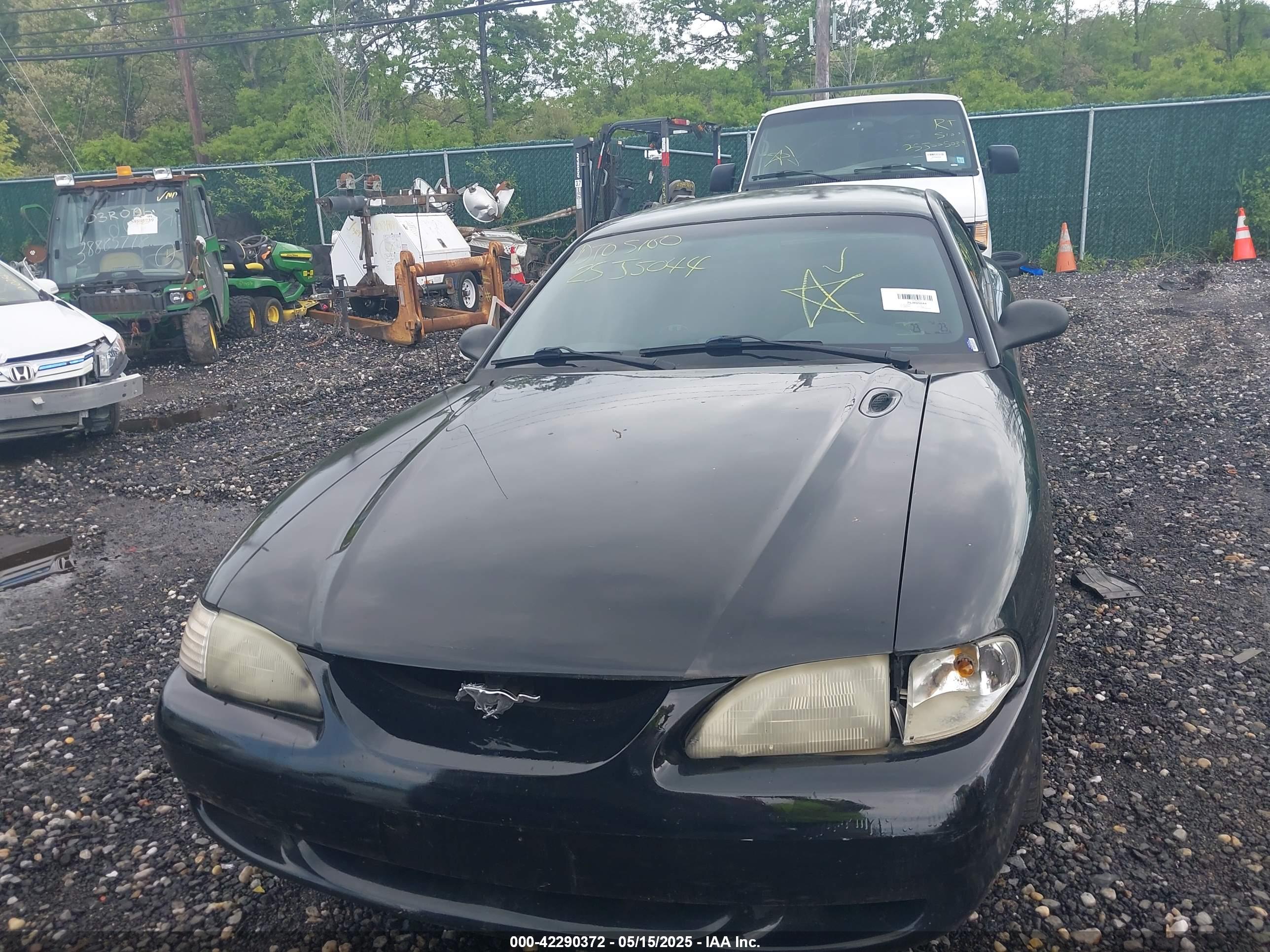 FORD MUSTANG image 6