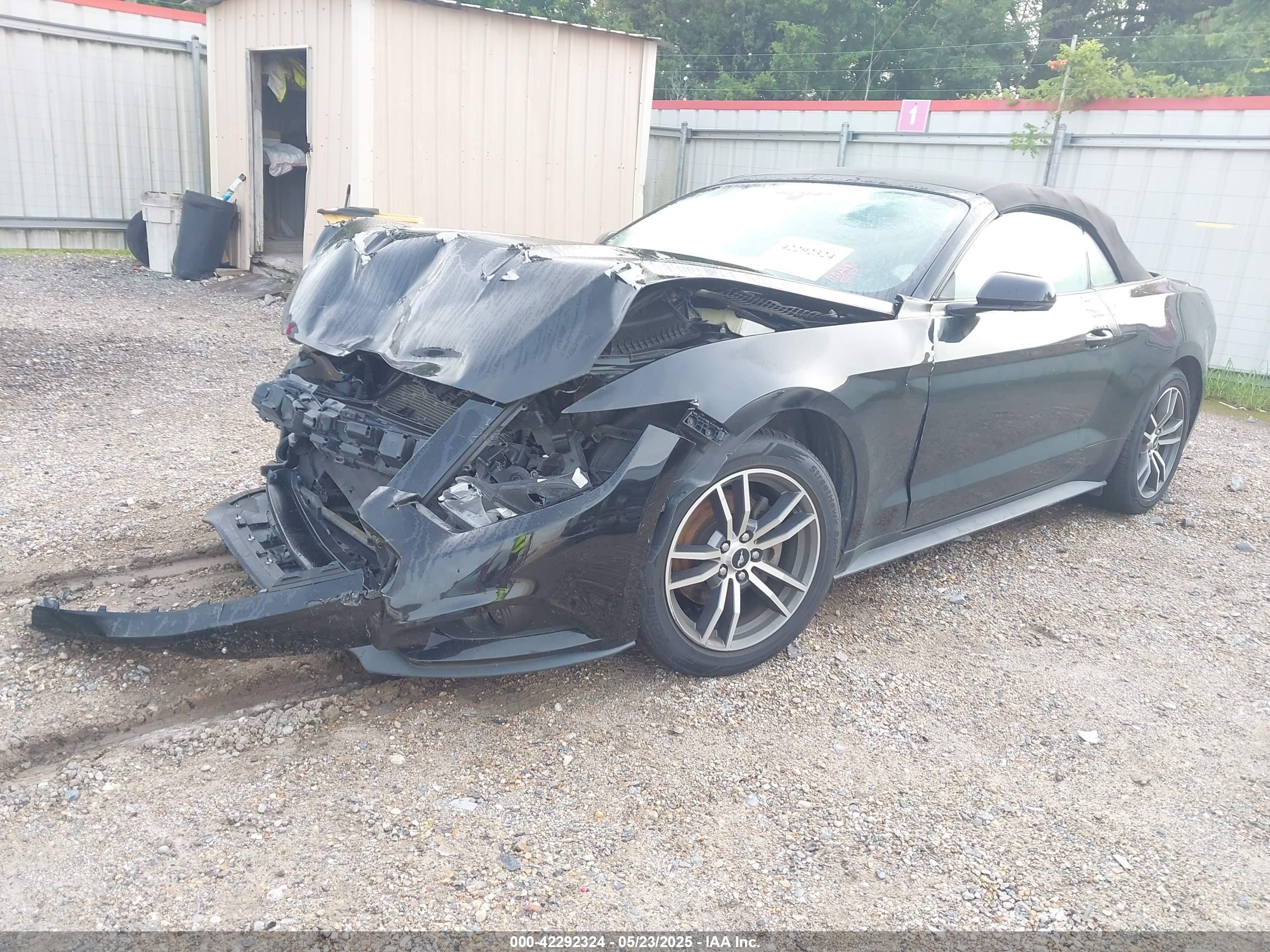 FORD MUSTANG image 2