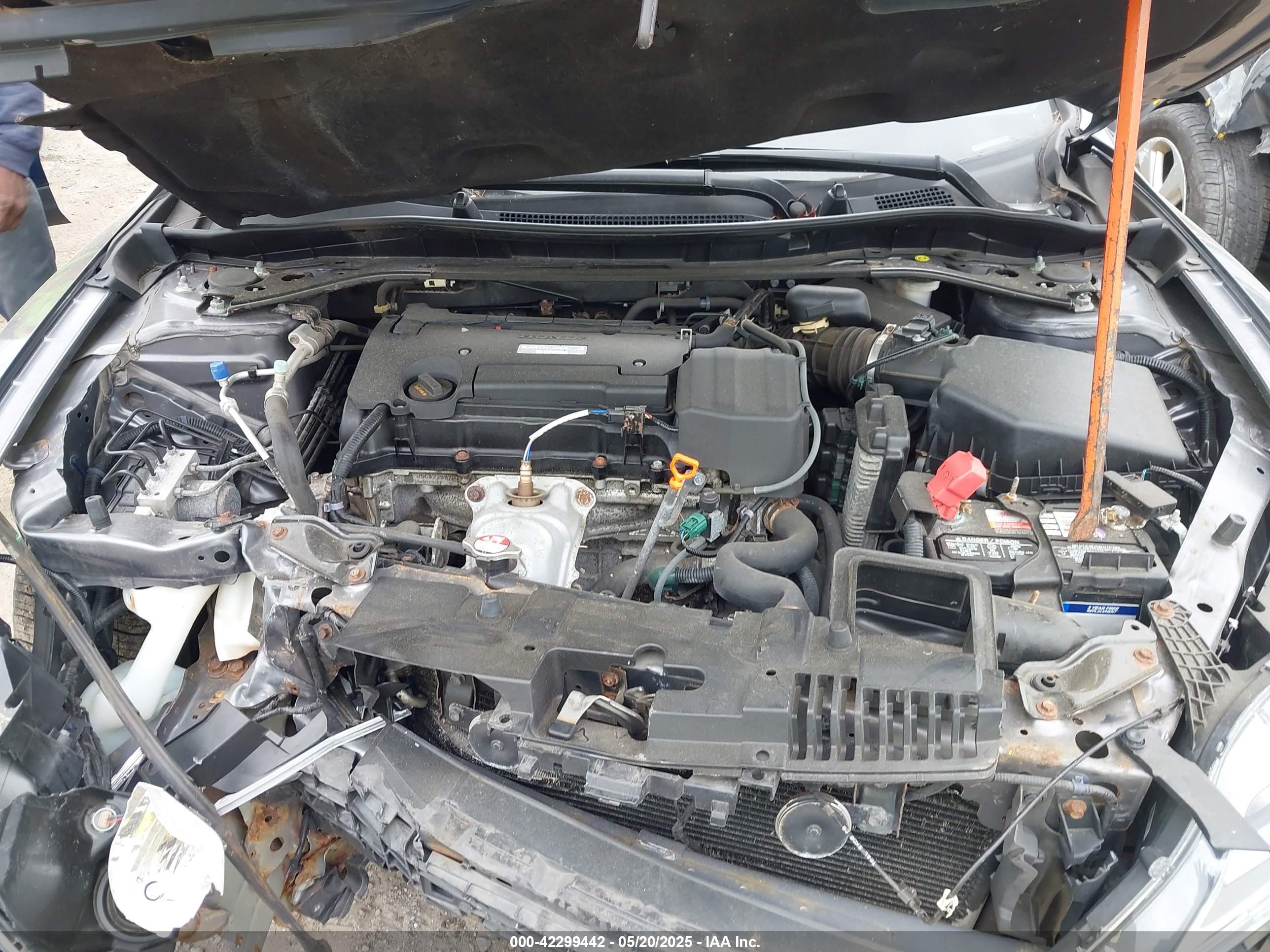 HONDA ACCORD image 10