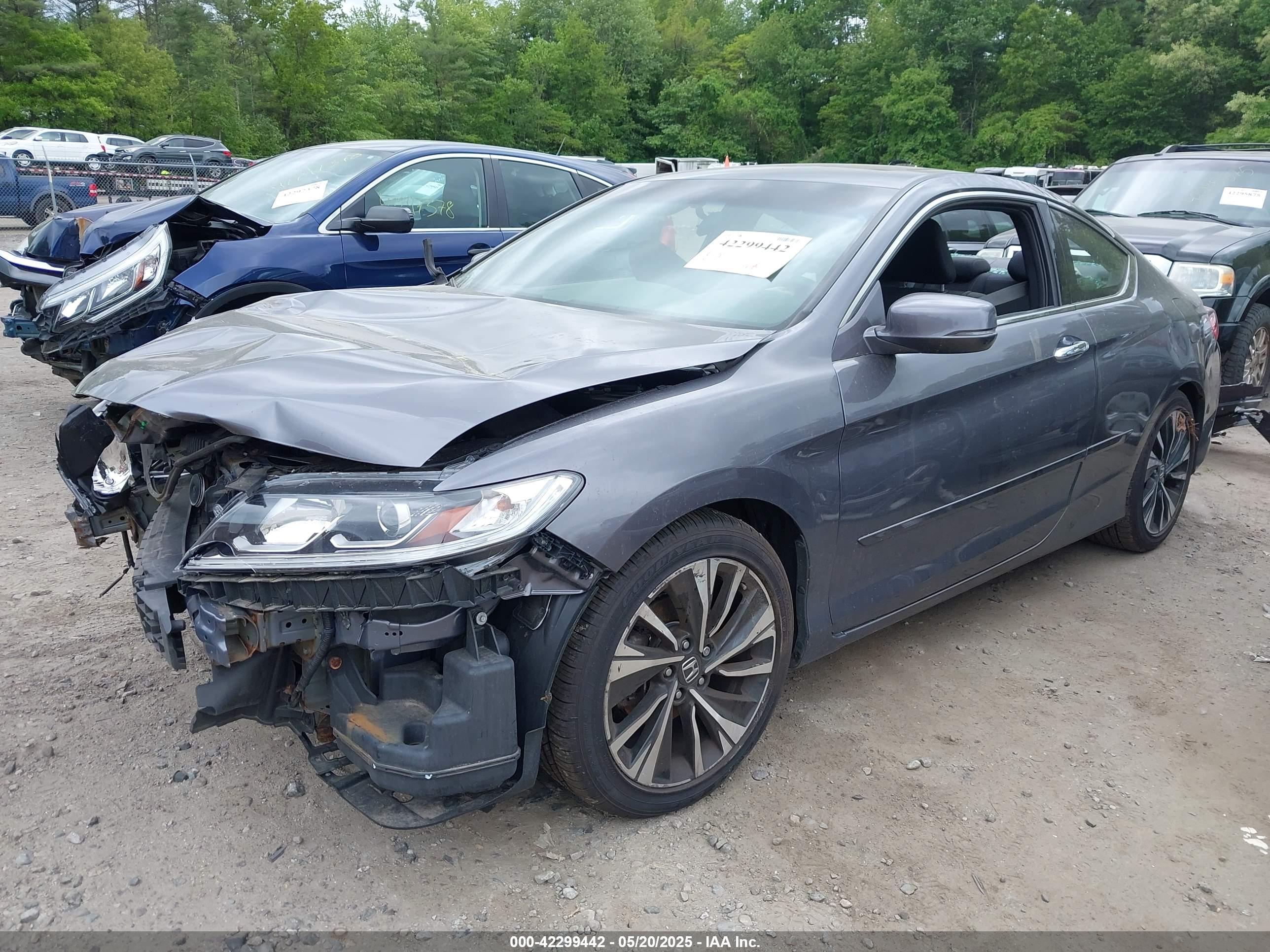 HONDA ACCORD image 2