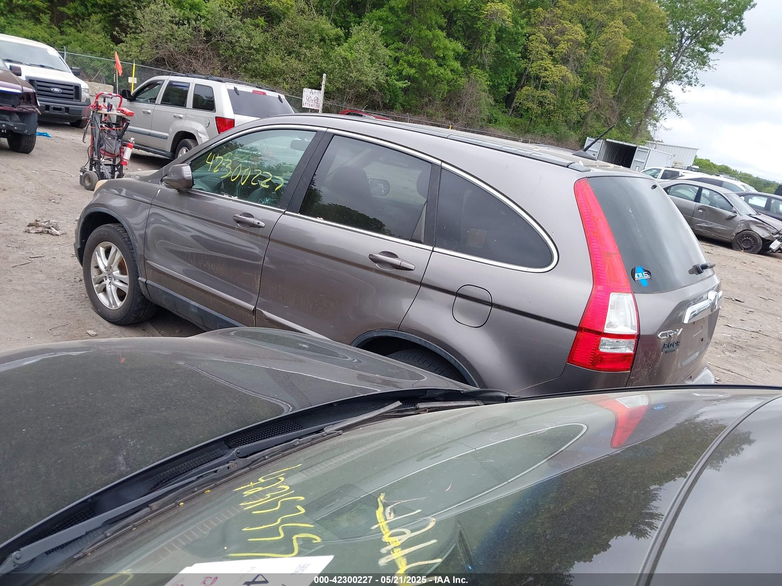 HONDA CR-V image 3