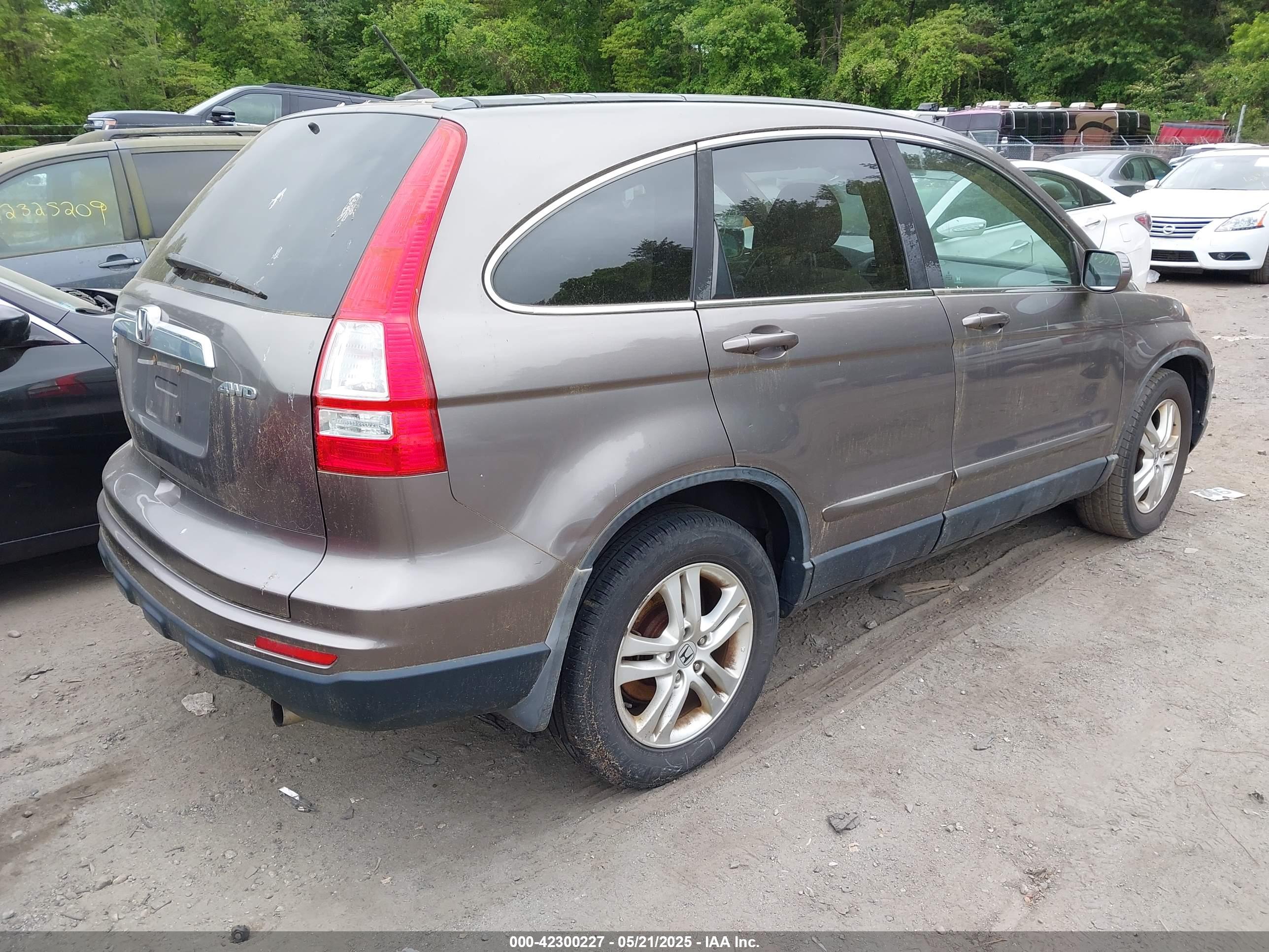 HONDA CR-V image 4