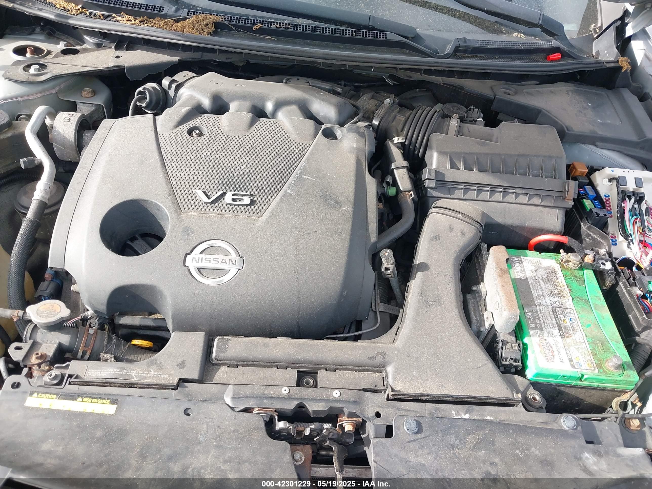 NISSAN MAXIMA image 10