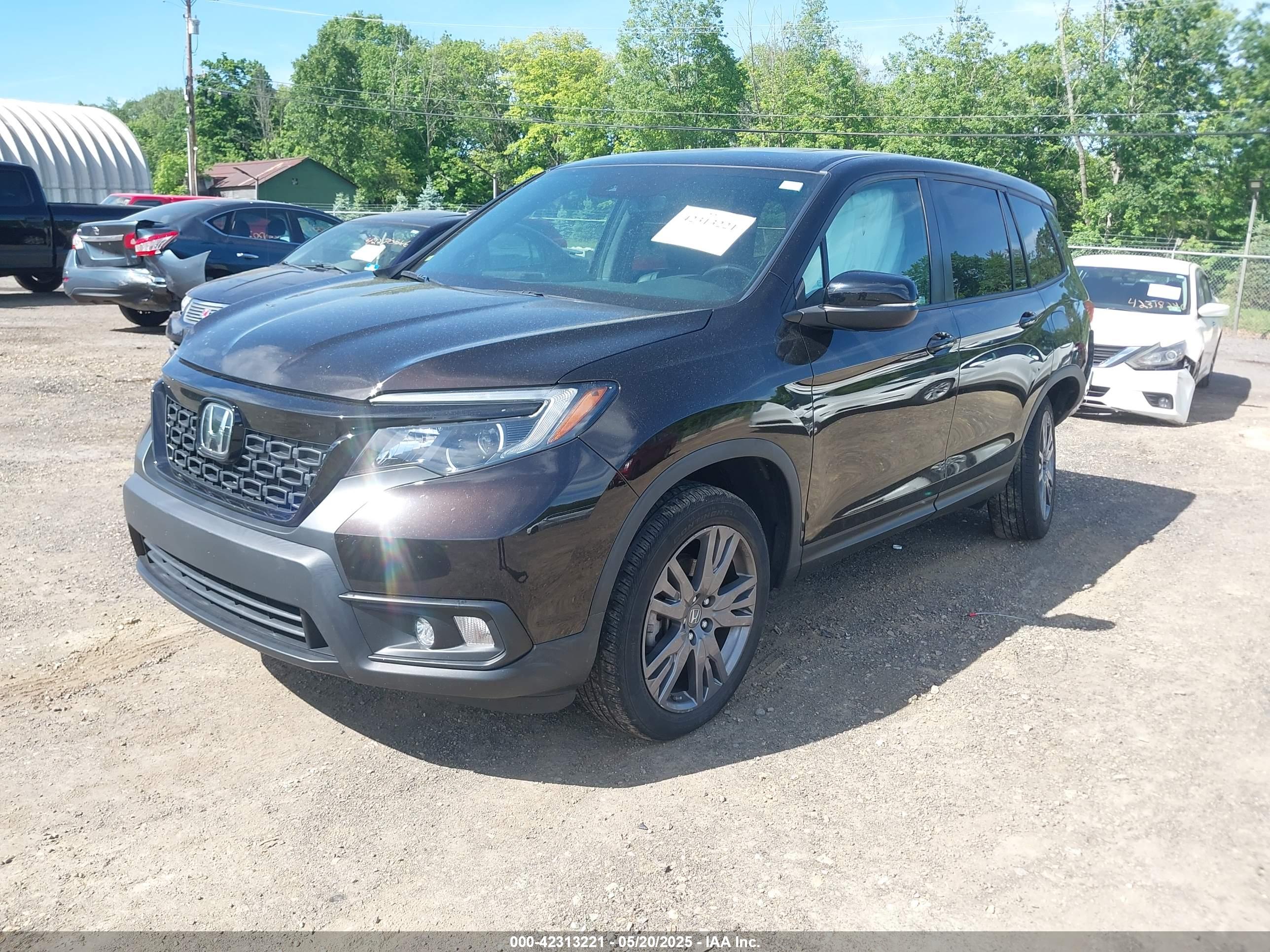 HONDA PASSPORT image 2