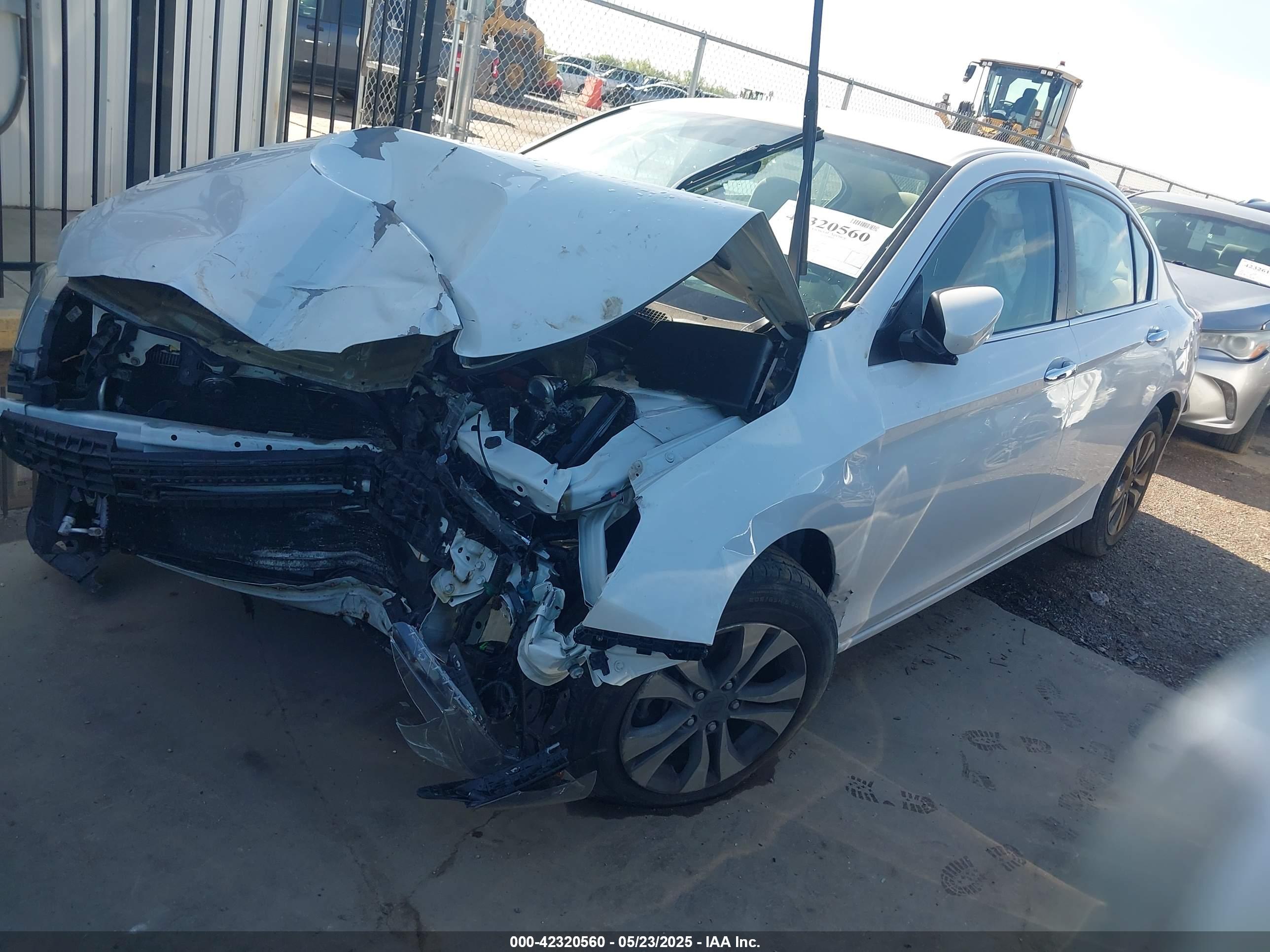 HONDA ACCORD image 2