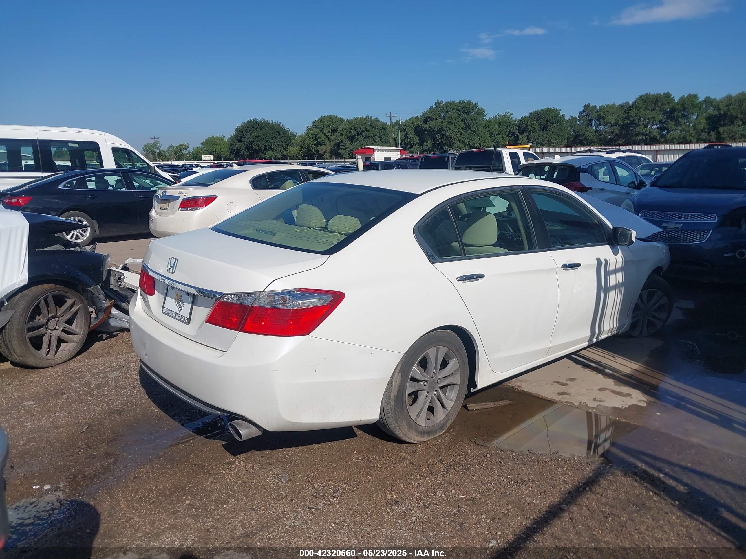 HONDA ACCORD image 4