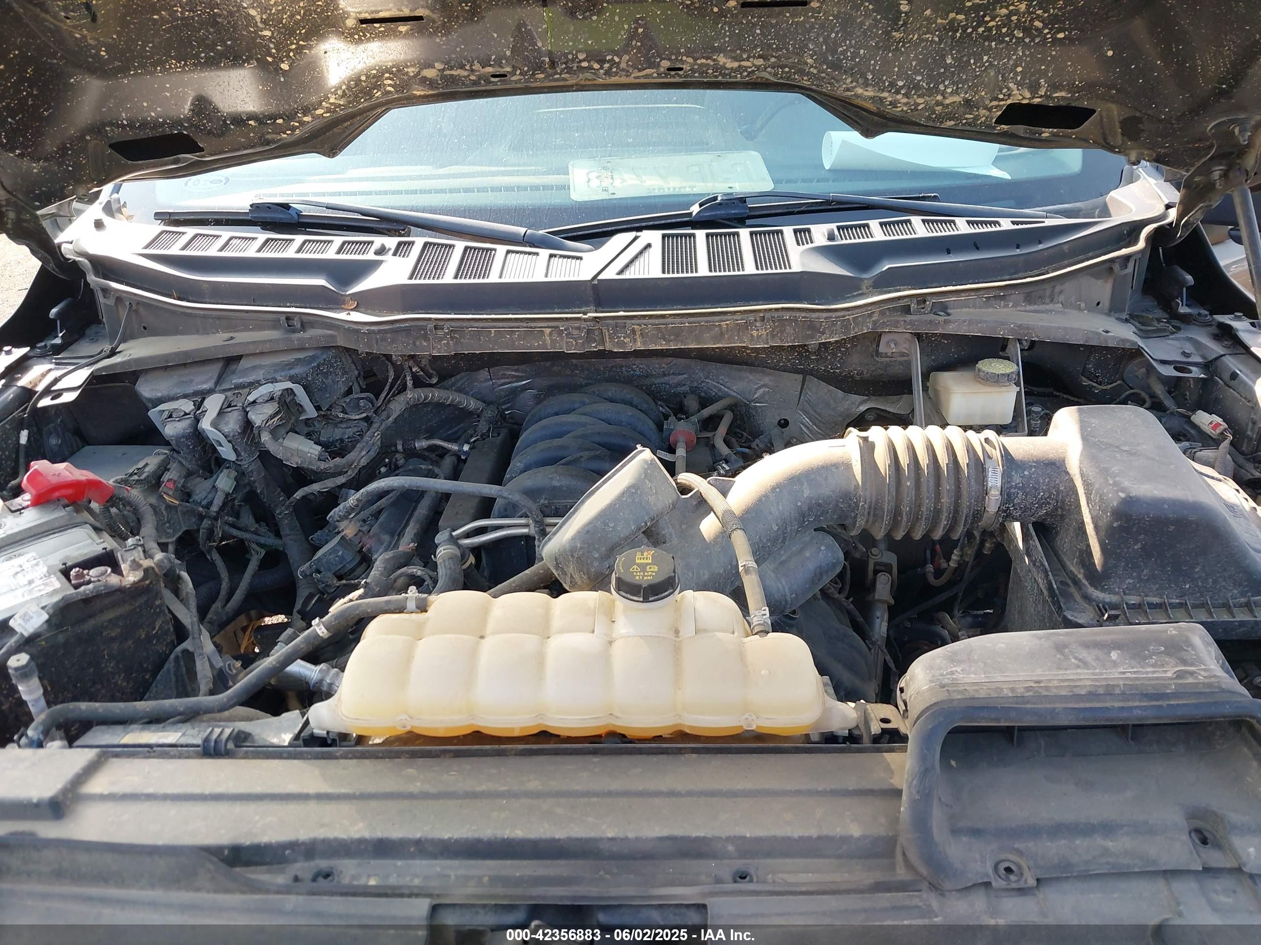 FORD F-150 image 10
