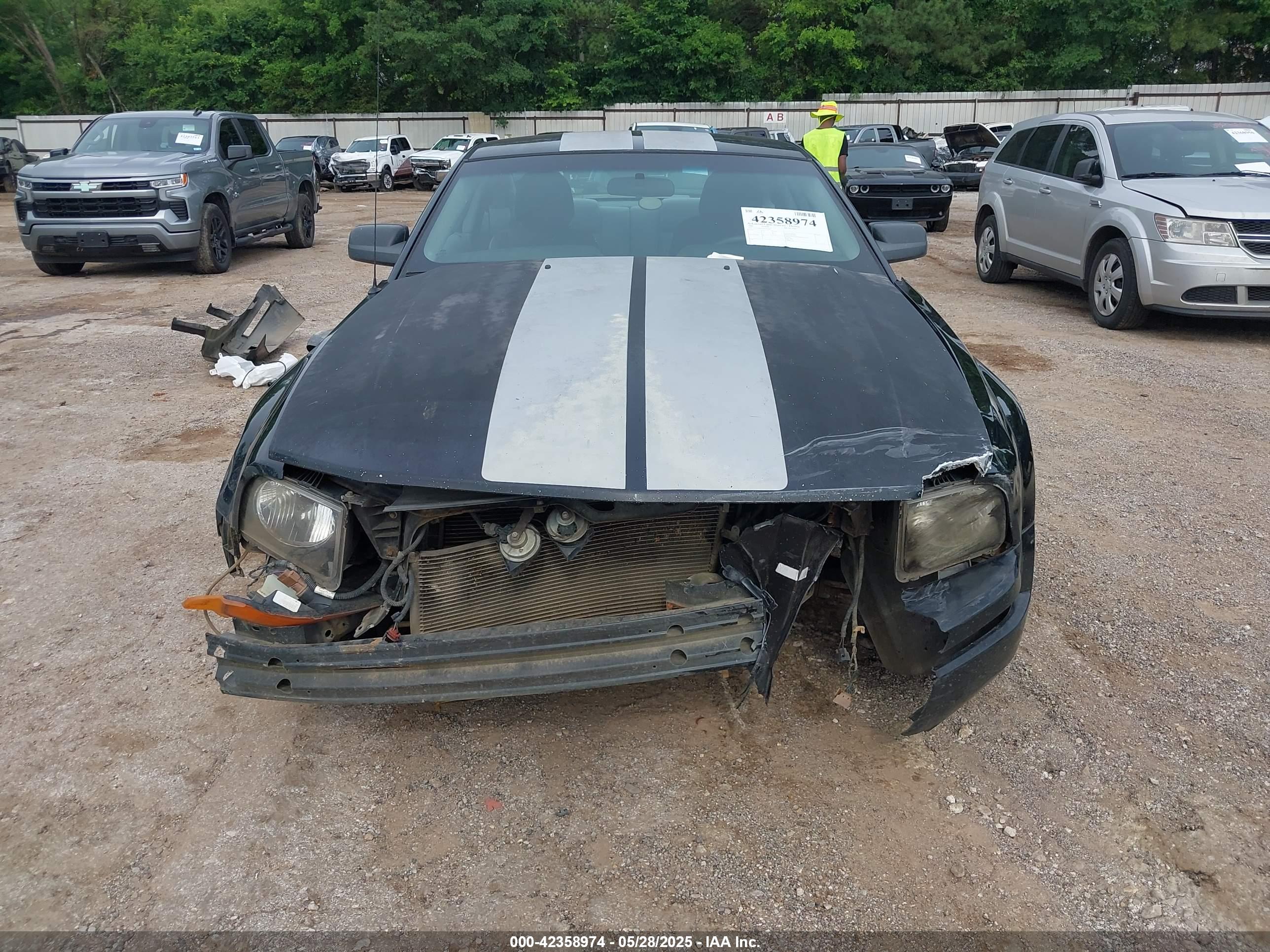 FORD MUSTANG image 6