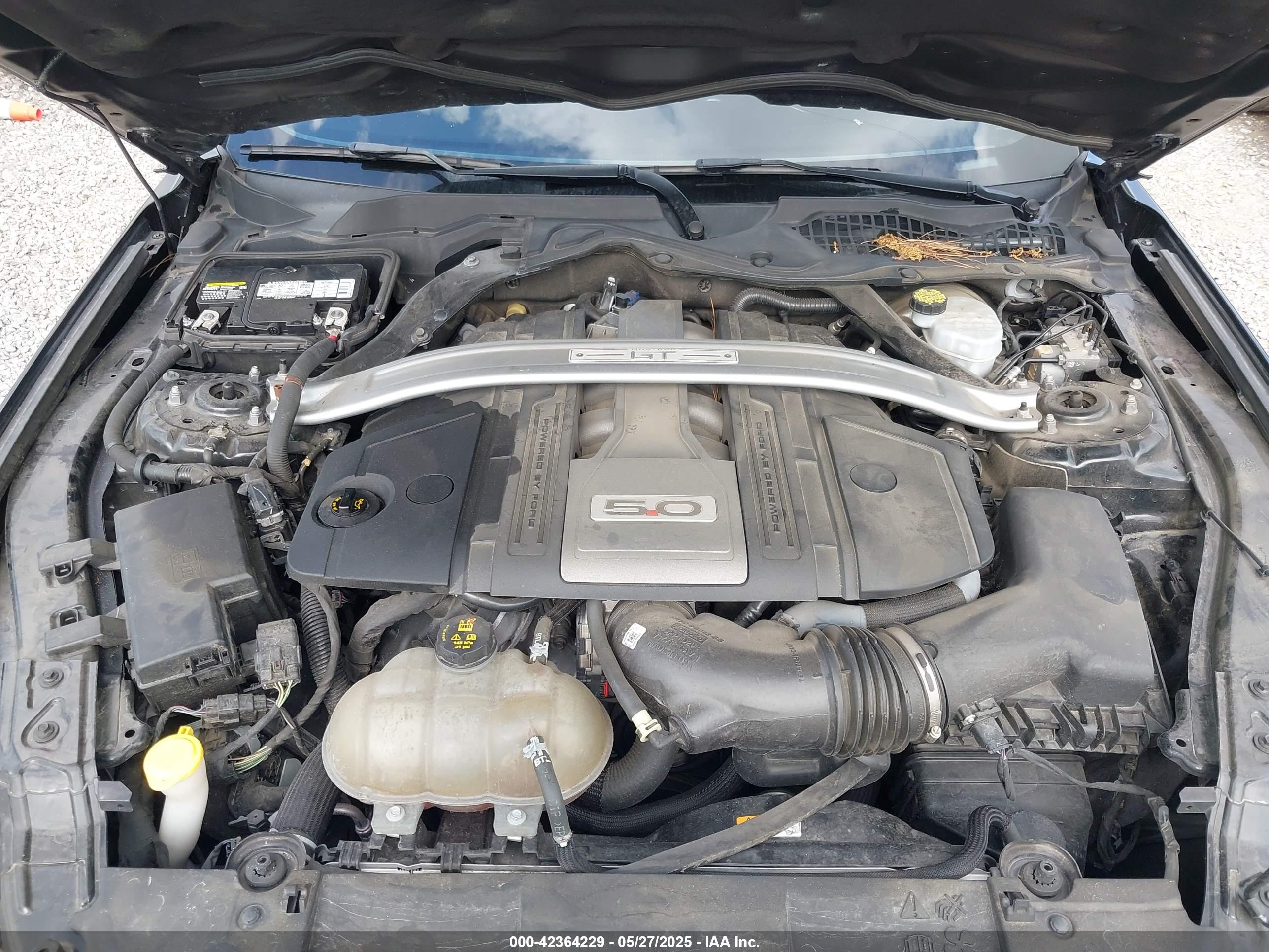 FORD MUSTANG image 10