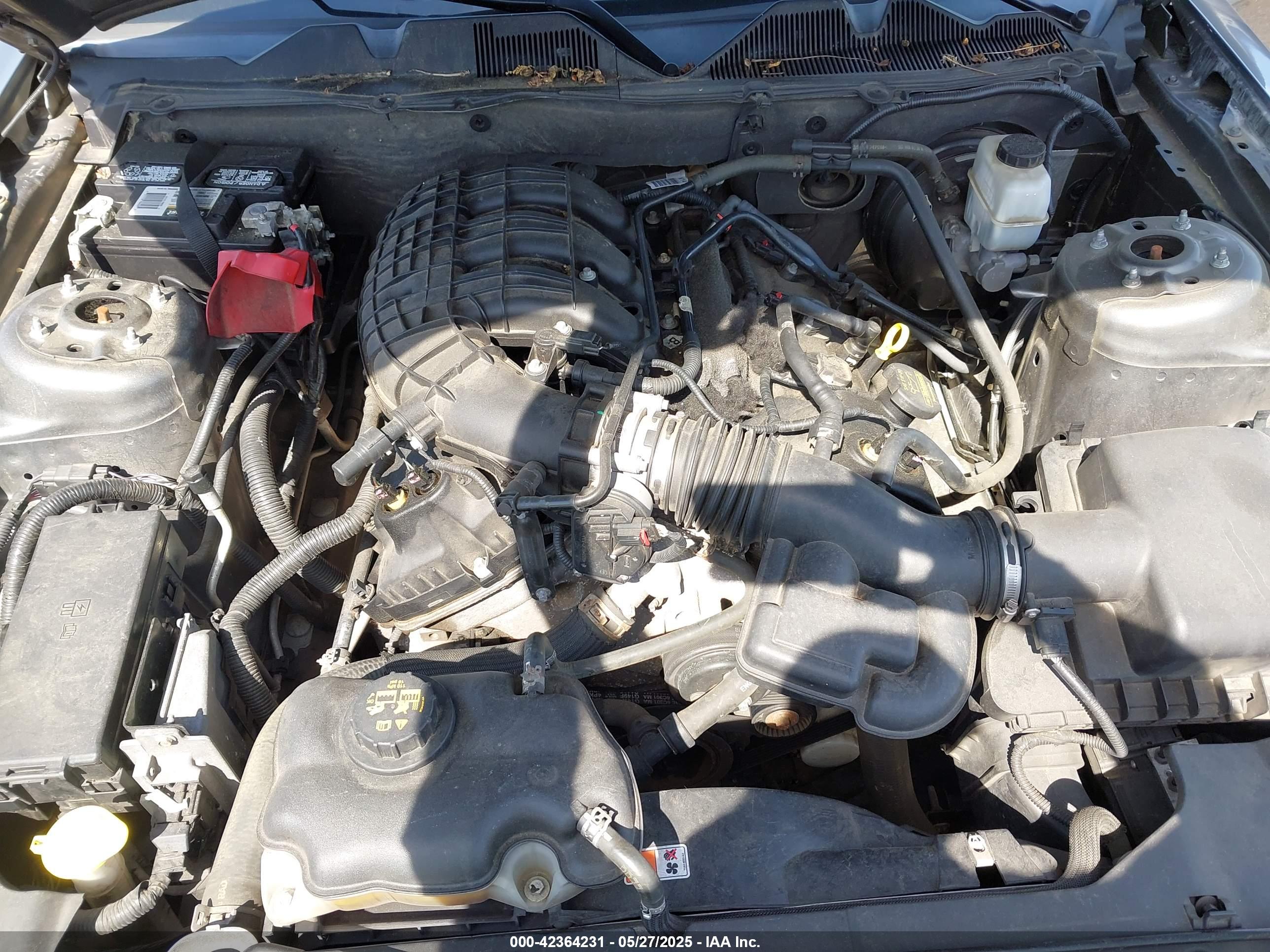 FORD MUSTANG image 10