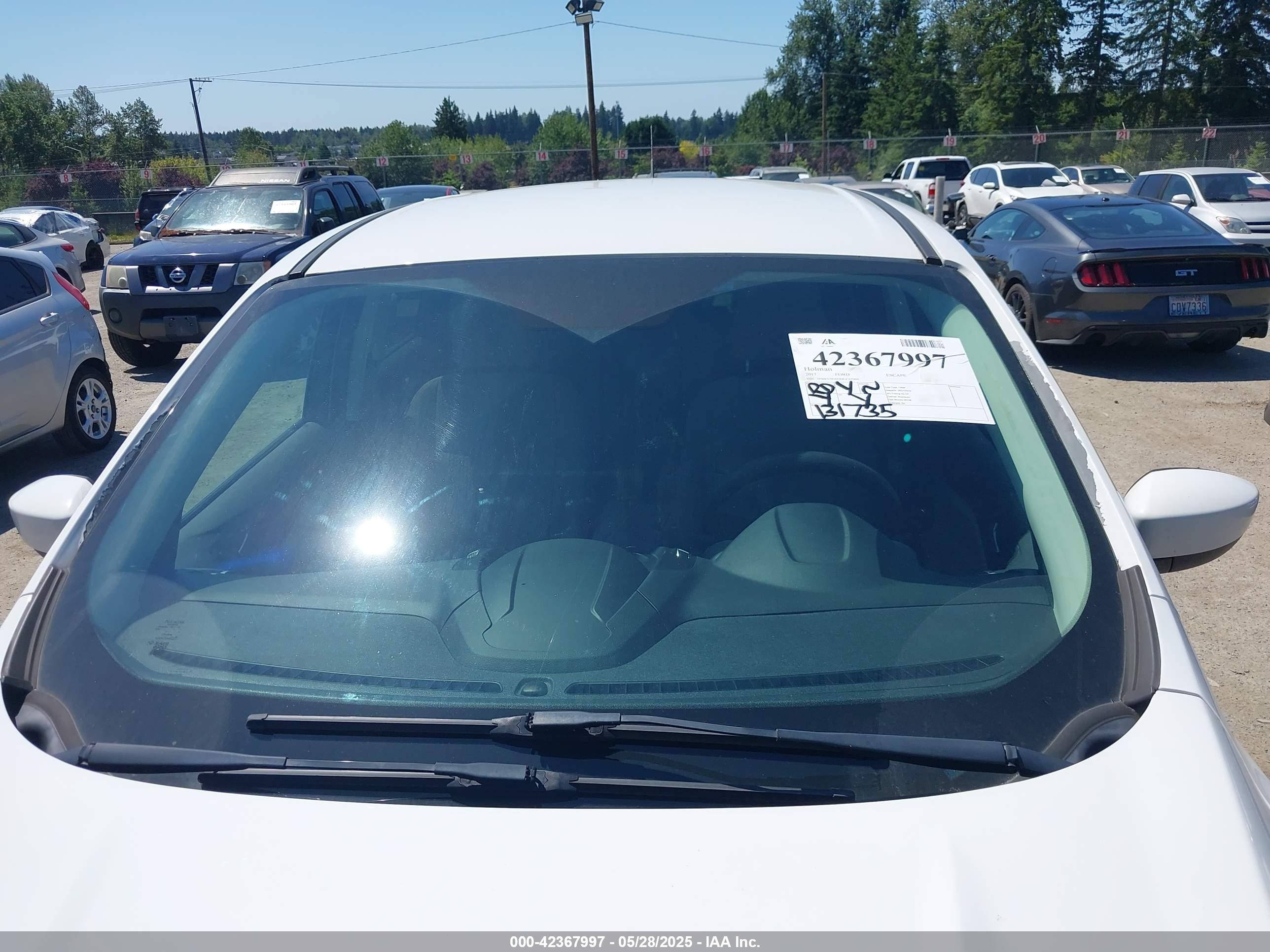 FORD ESCAPE image 6
