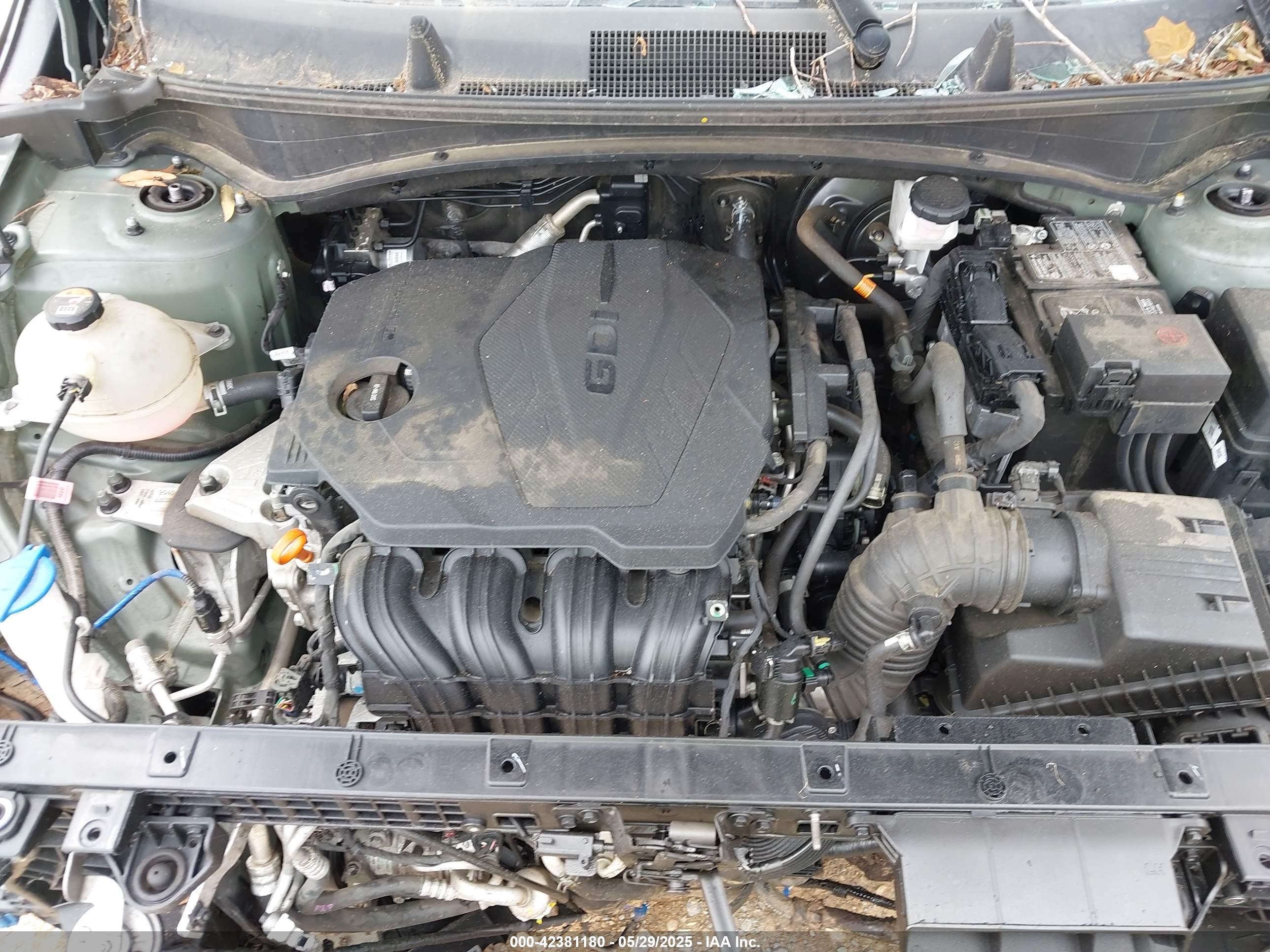 KIA SPORTAGE image 10