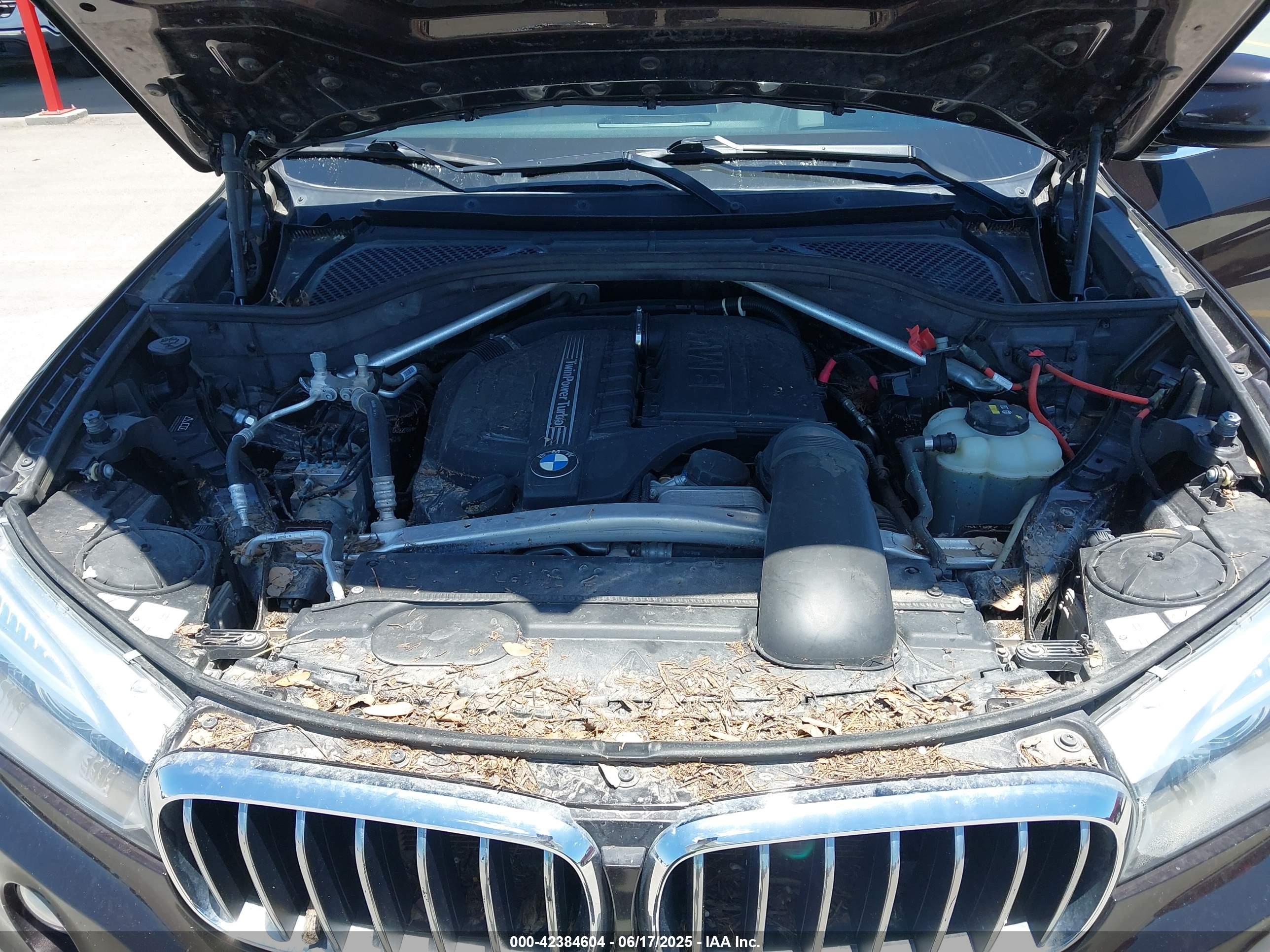 BMW X5 image 10