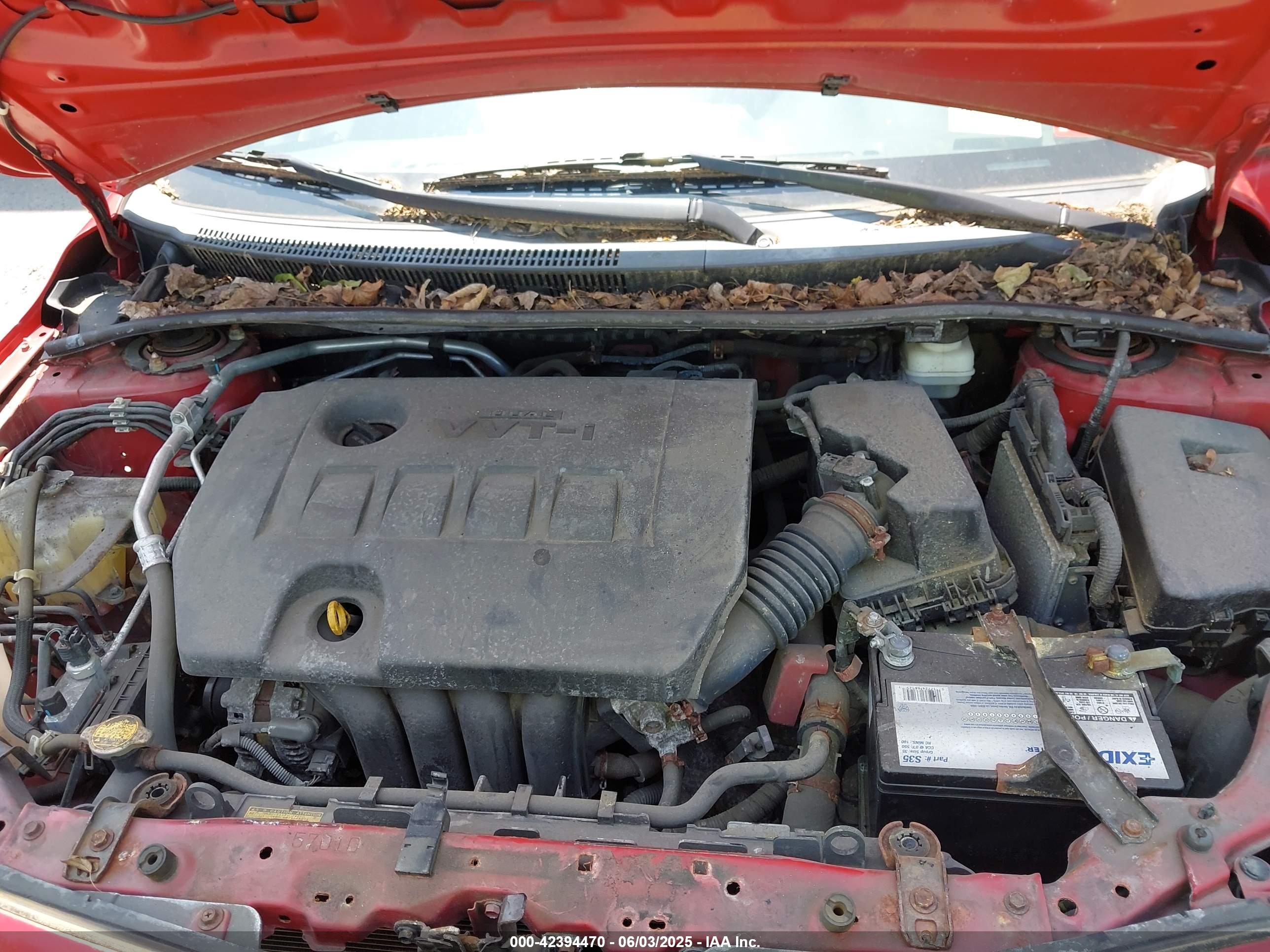 TOYOTA COROLLA image 10