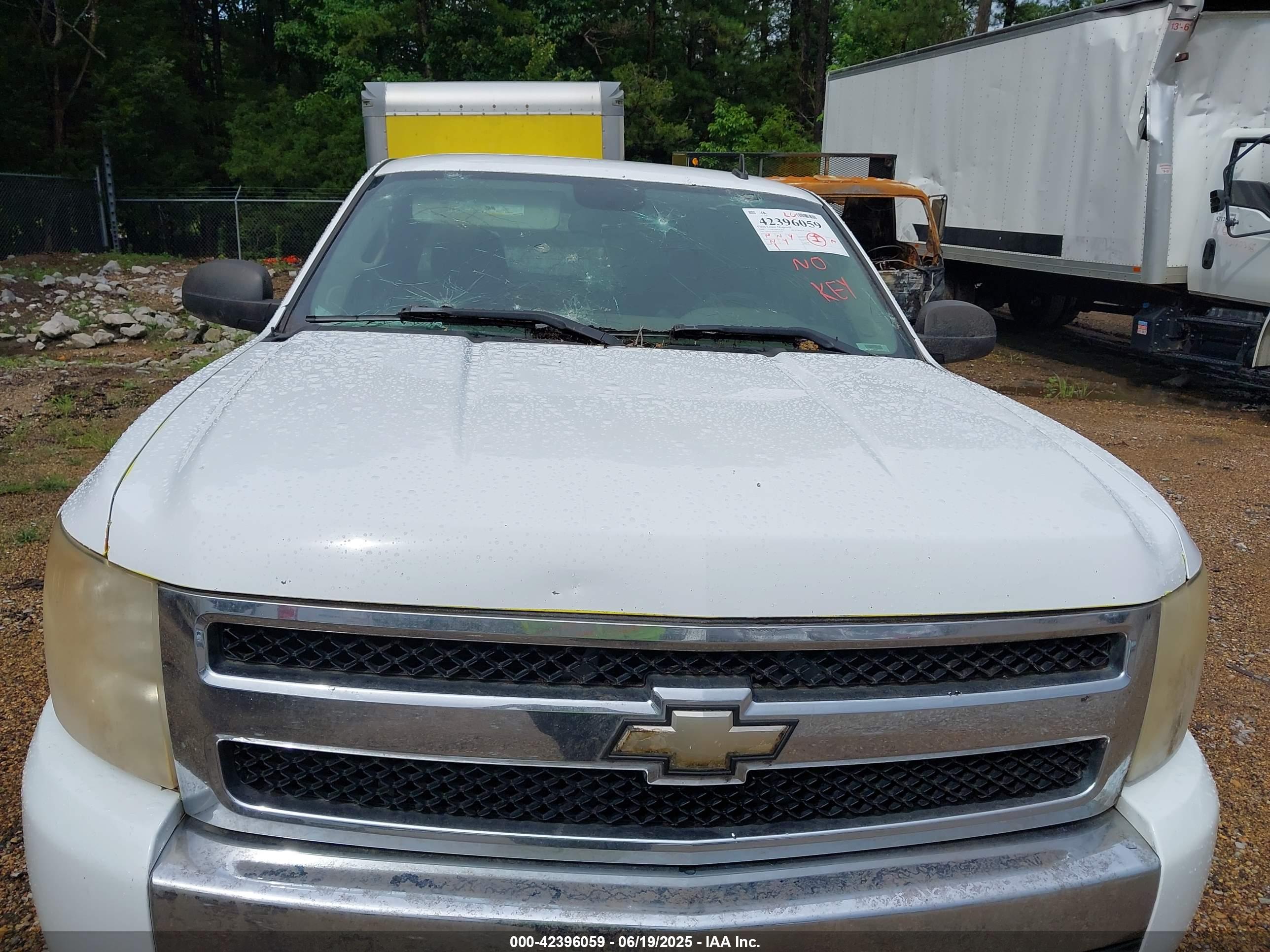 CHEVROLET SILVERADO image 10