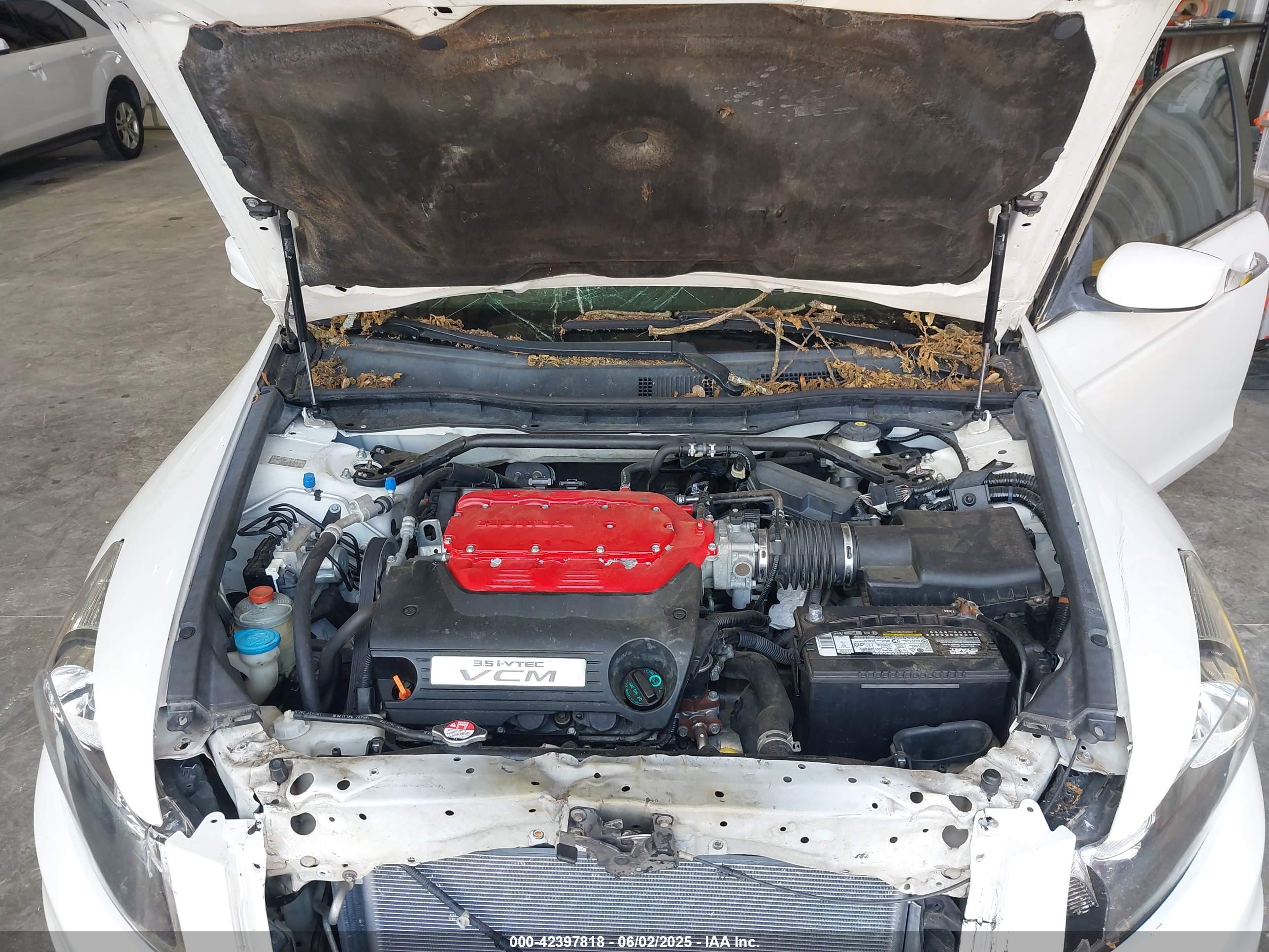 HONDA ACCORD image 10